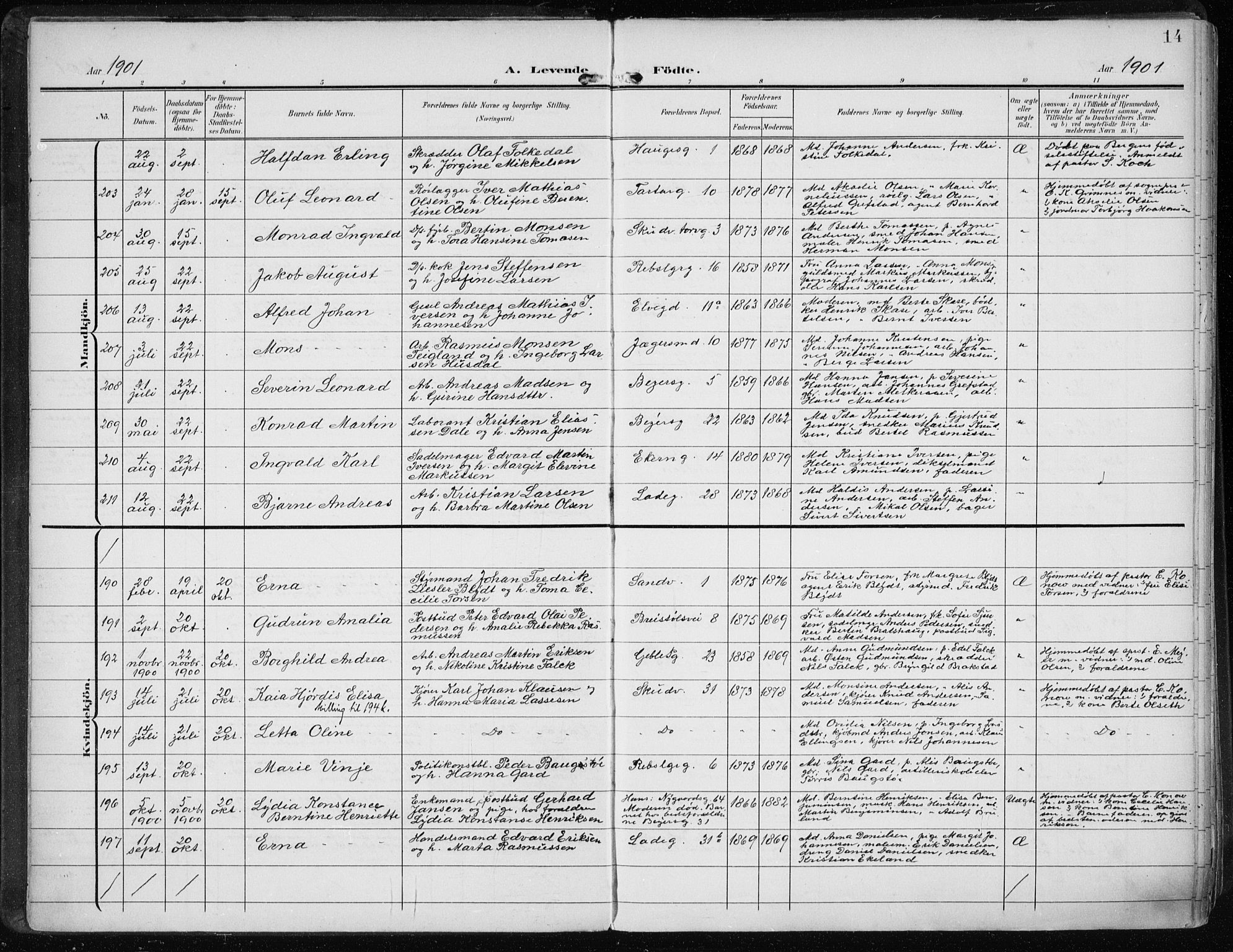 Sandviken Sokneprestembete, AV/SAB-A-77601/H/Ha/L0006: Parish register (official) no. B 3, 1901-1912, p. 14