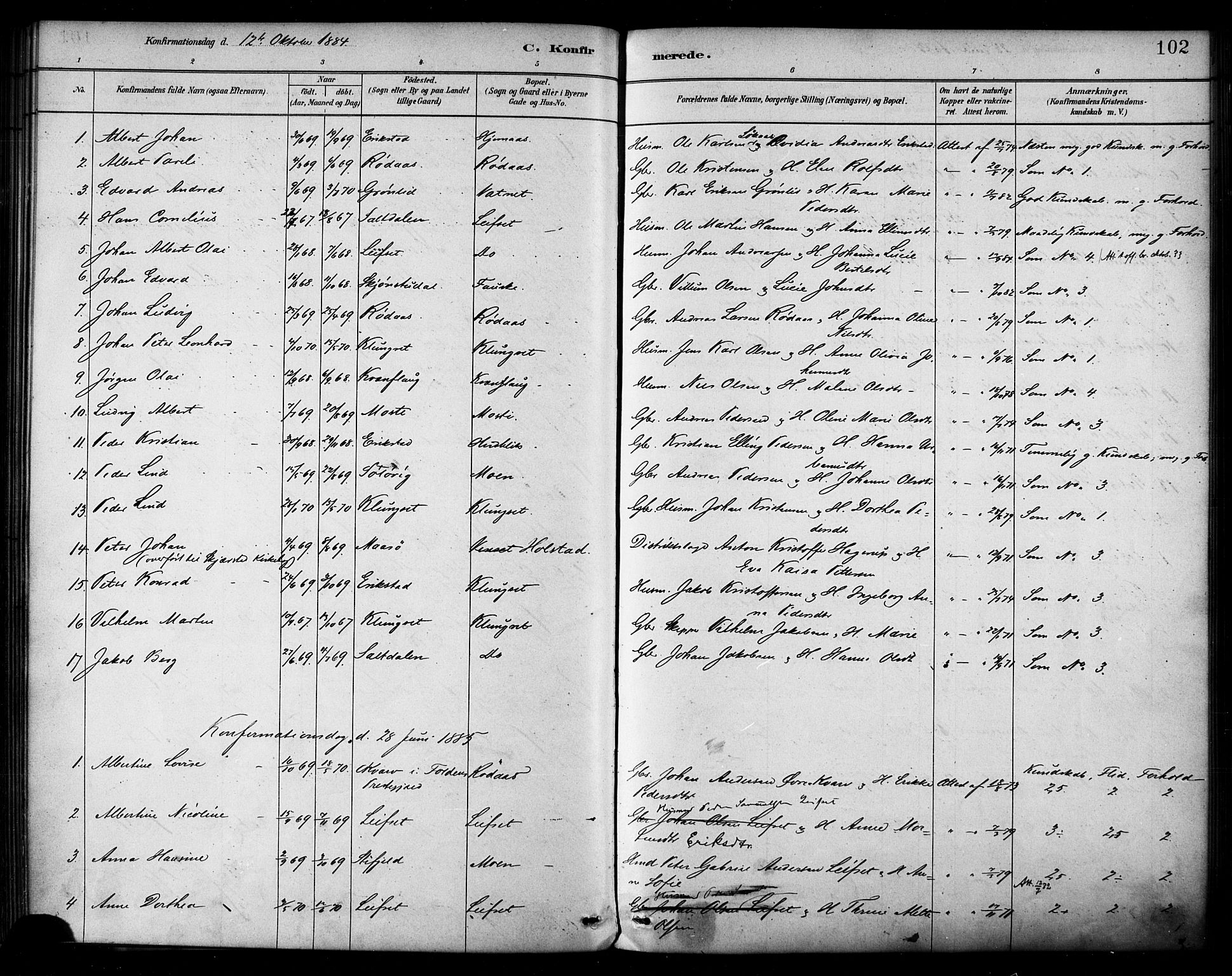 Ministerialprotokoller, klokkerbøker og fødselsregistre - Nordland, AV/SAT-A-1459/849/L0689: Parish register (official) no. 849A01, 1879-1889, p. 102