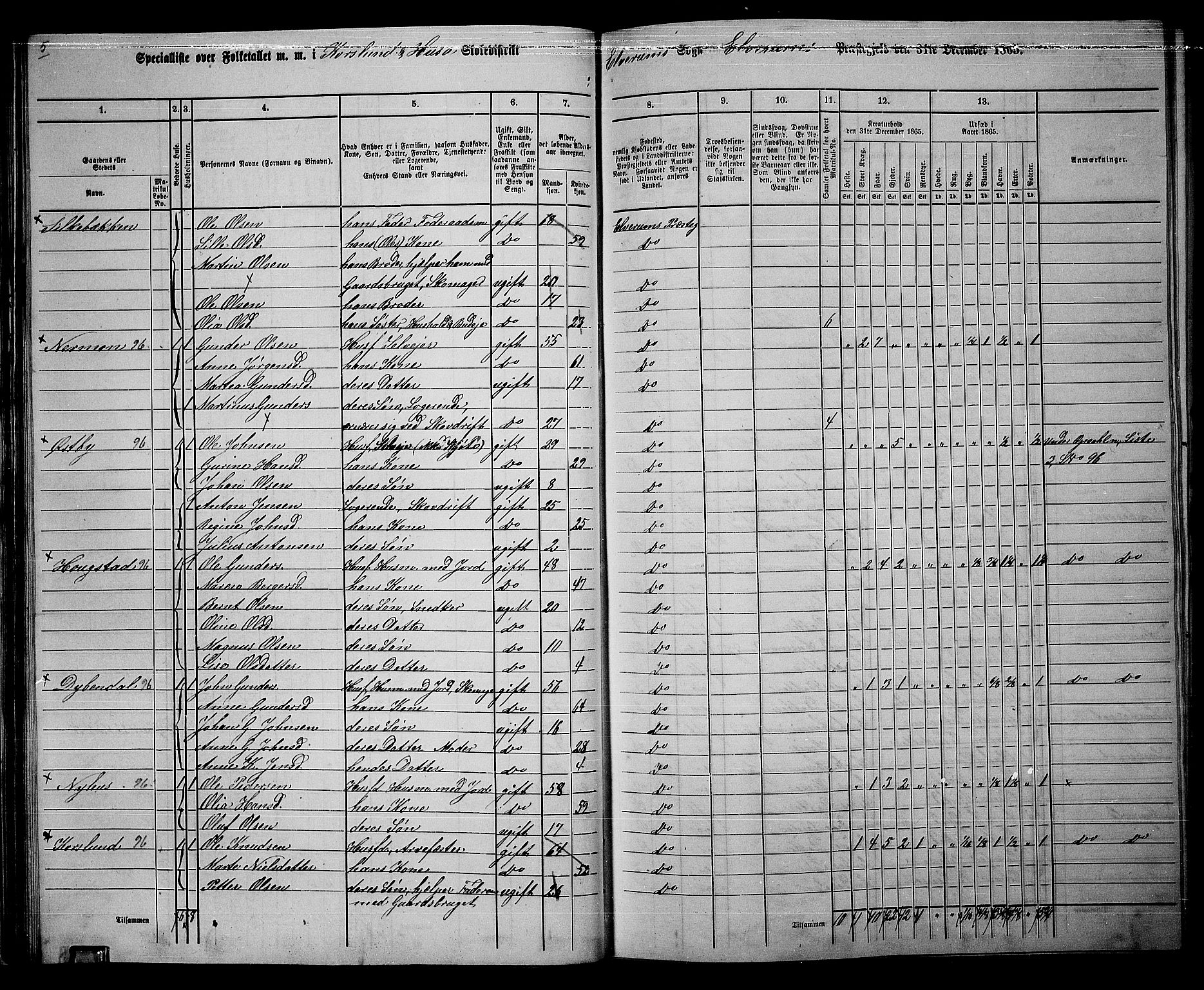 RA, 1865 census for Elverum, 1865, p. 42