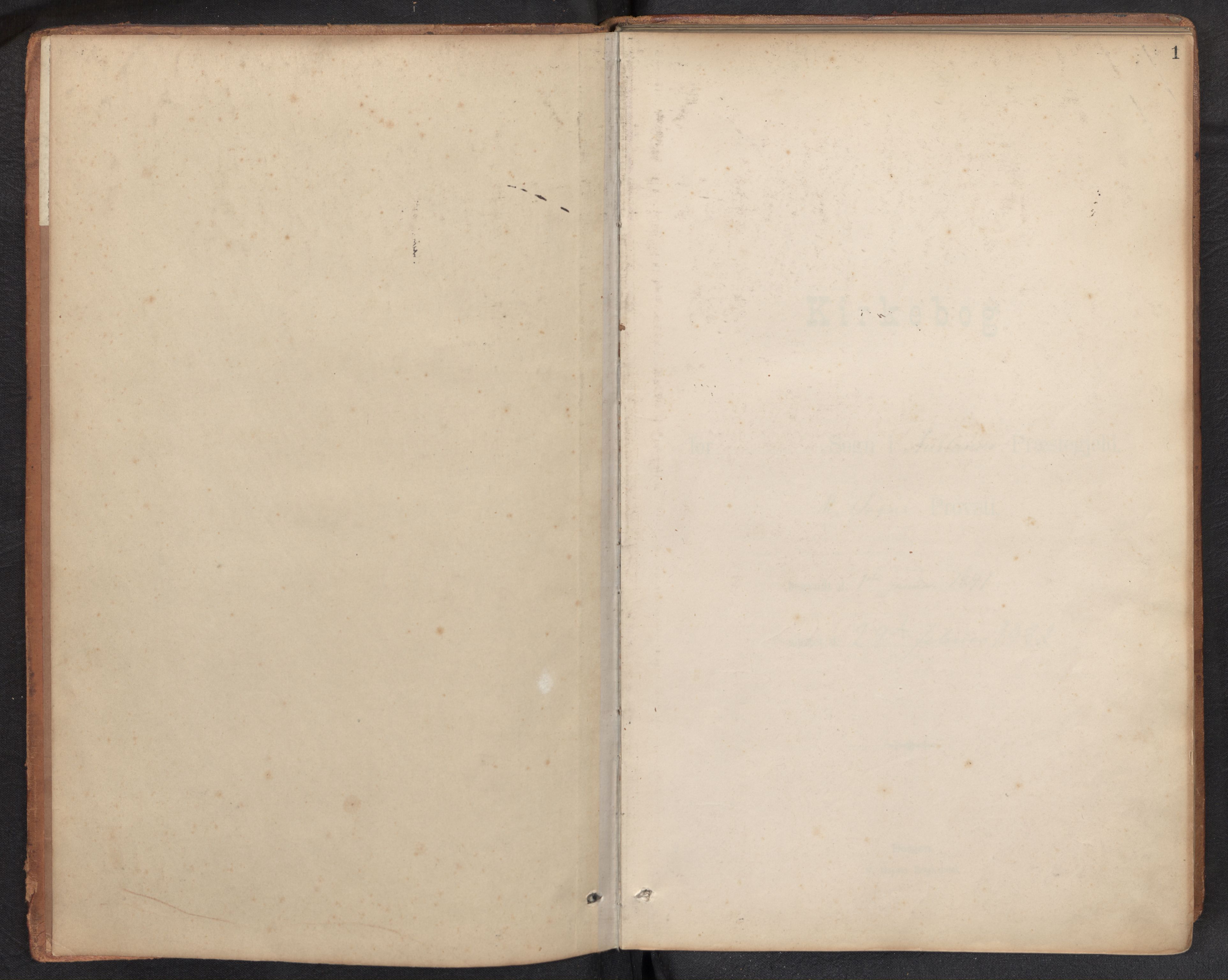 Aurland sokneprestembete, AV/SAB-A-99937/H/Ha/Haf: Diary records no. F 2, 1891-1932
