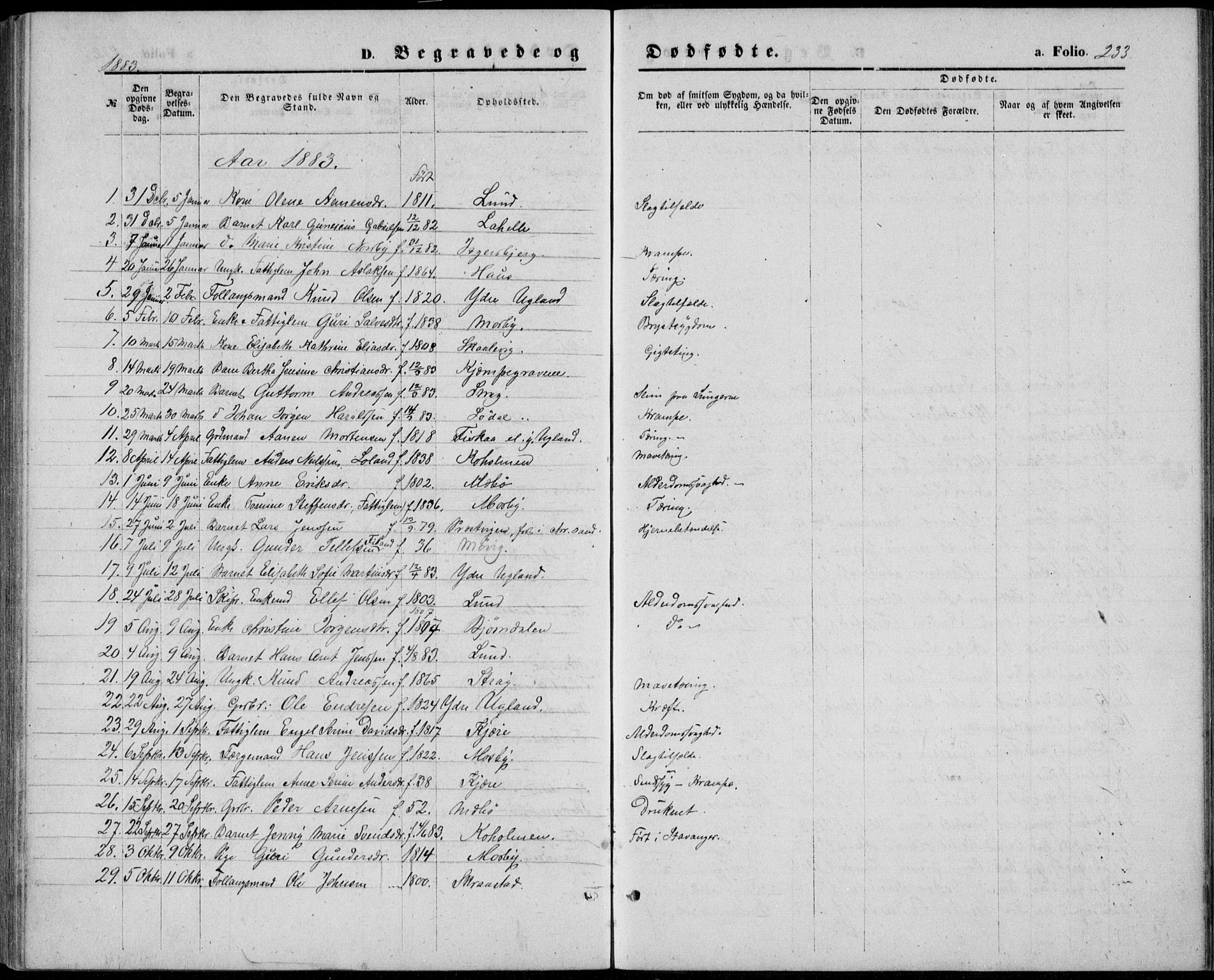 Oddernes sokneprestkontor, SAK/1111-0033/F/Fb/Fba/L0007: Parish register (copy) no. B 7, 1869-1887, p. 233
