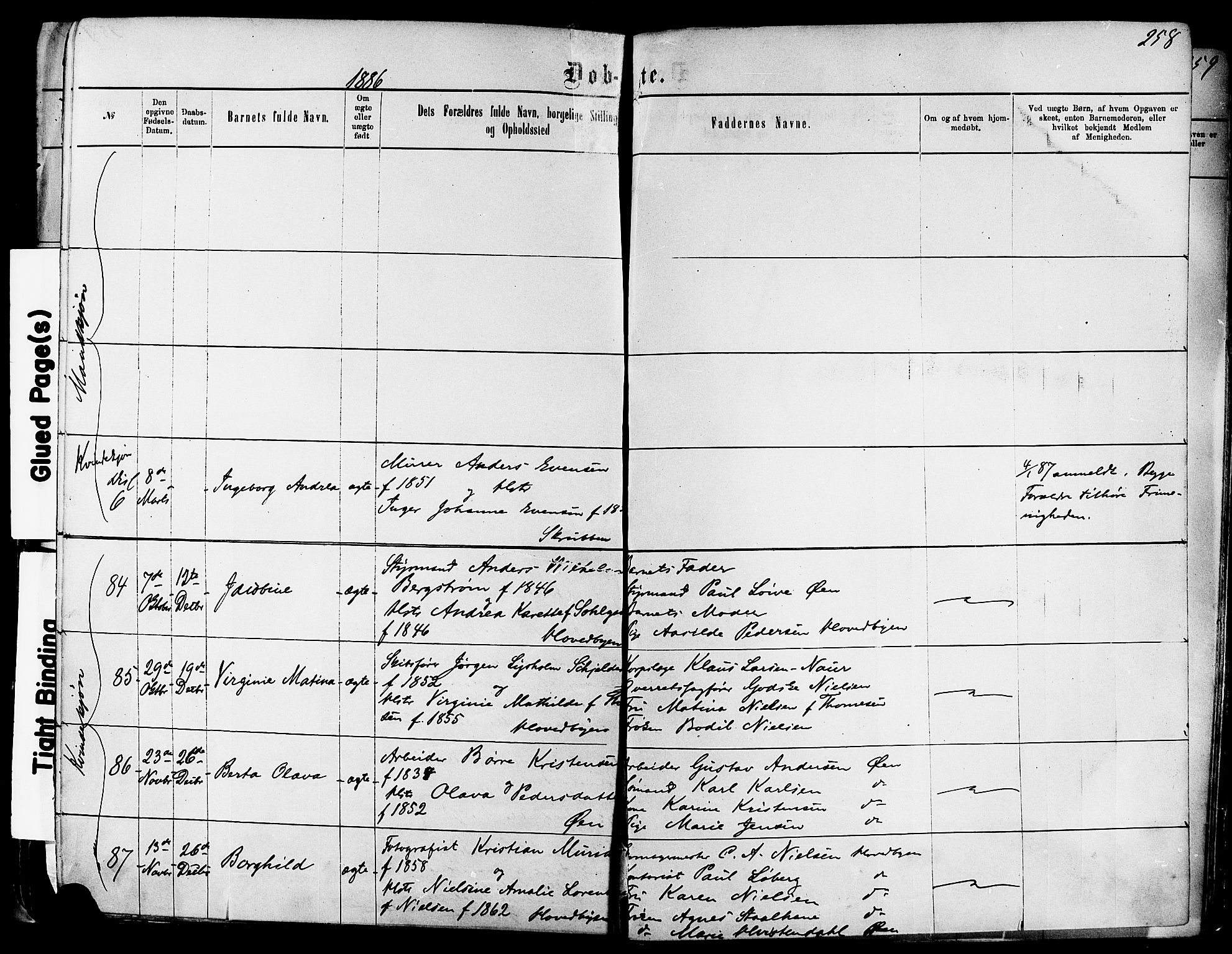 Kragerø kirkebøker, SAKO/A-278/F/Fa/L0011: Parish register (official) no. 11, 1875-1886, p. 258