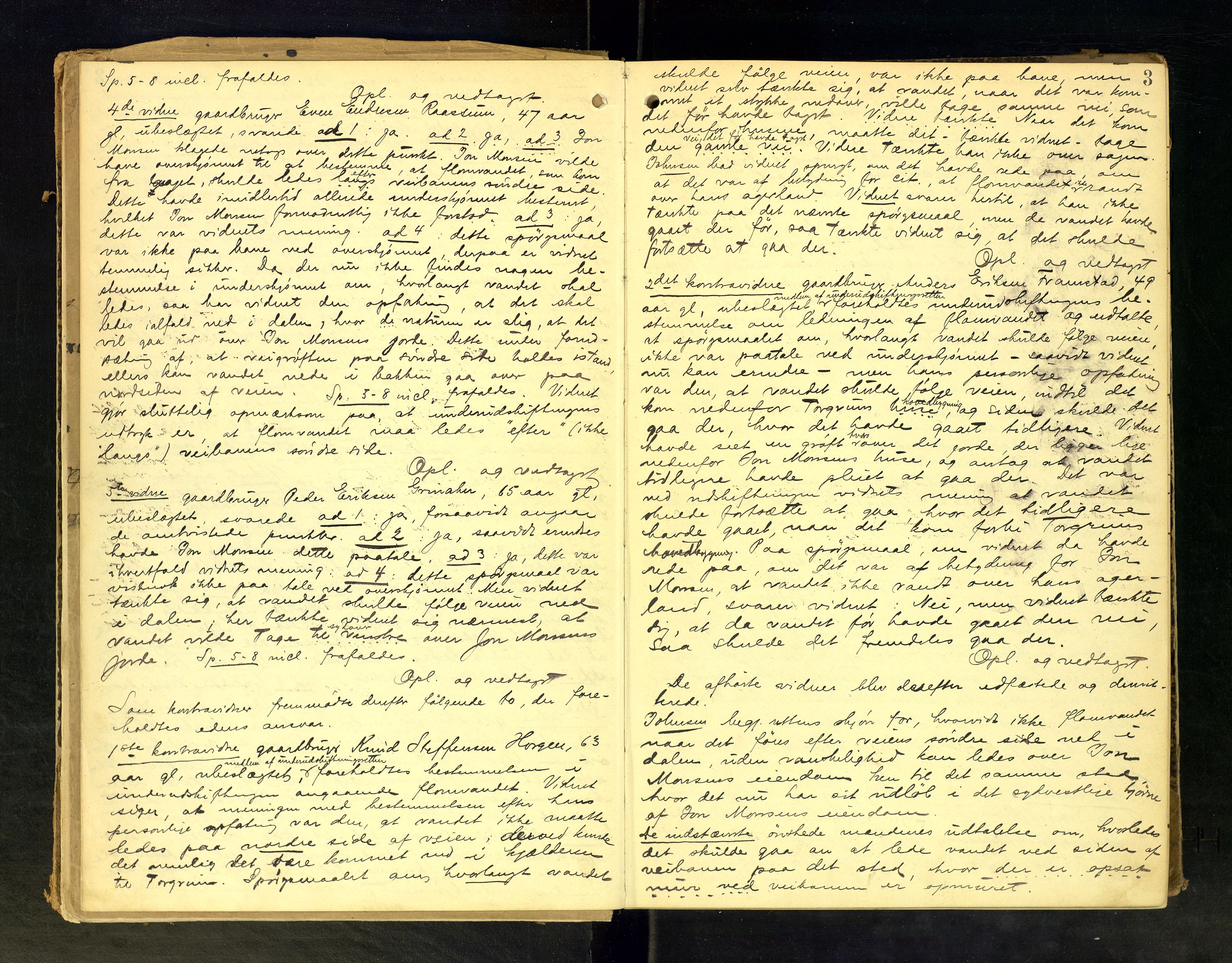 Hadeland og Land tingrett, AV/SAH-TING-010/G/Gd/L0006: Åstedsprotokoll, 1892-1899, p. 3