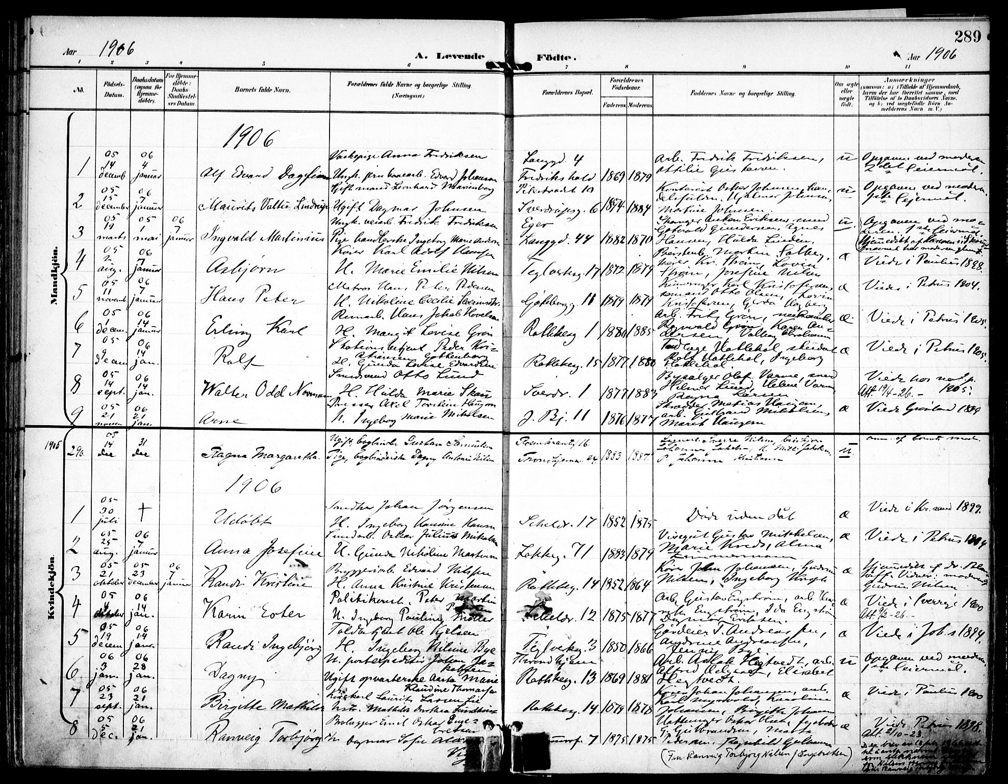 Petrus prestekontor Kirkebøker, AV/SAO-A-10872/F/Fa/L0008: Parish register (official) no. I 8, 1899-1909, p. 289