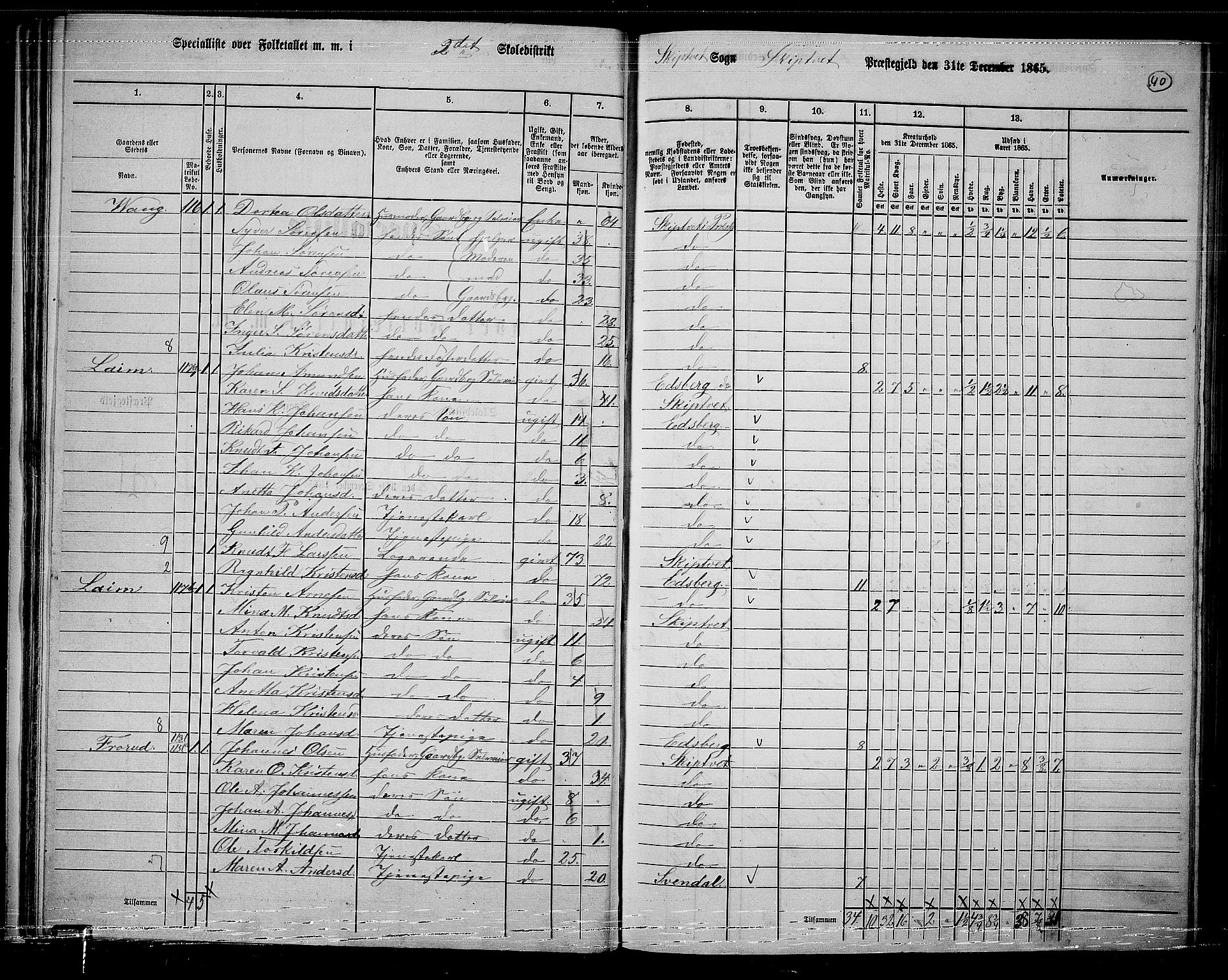 RA, 1865 census for Skiptvet, 1865, p. 33