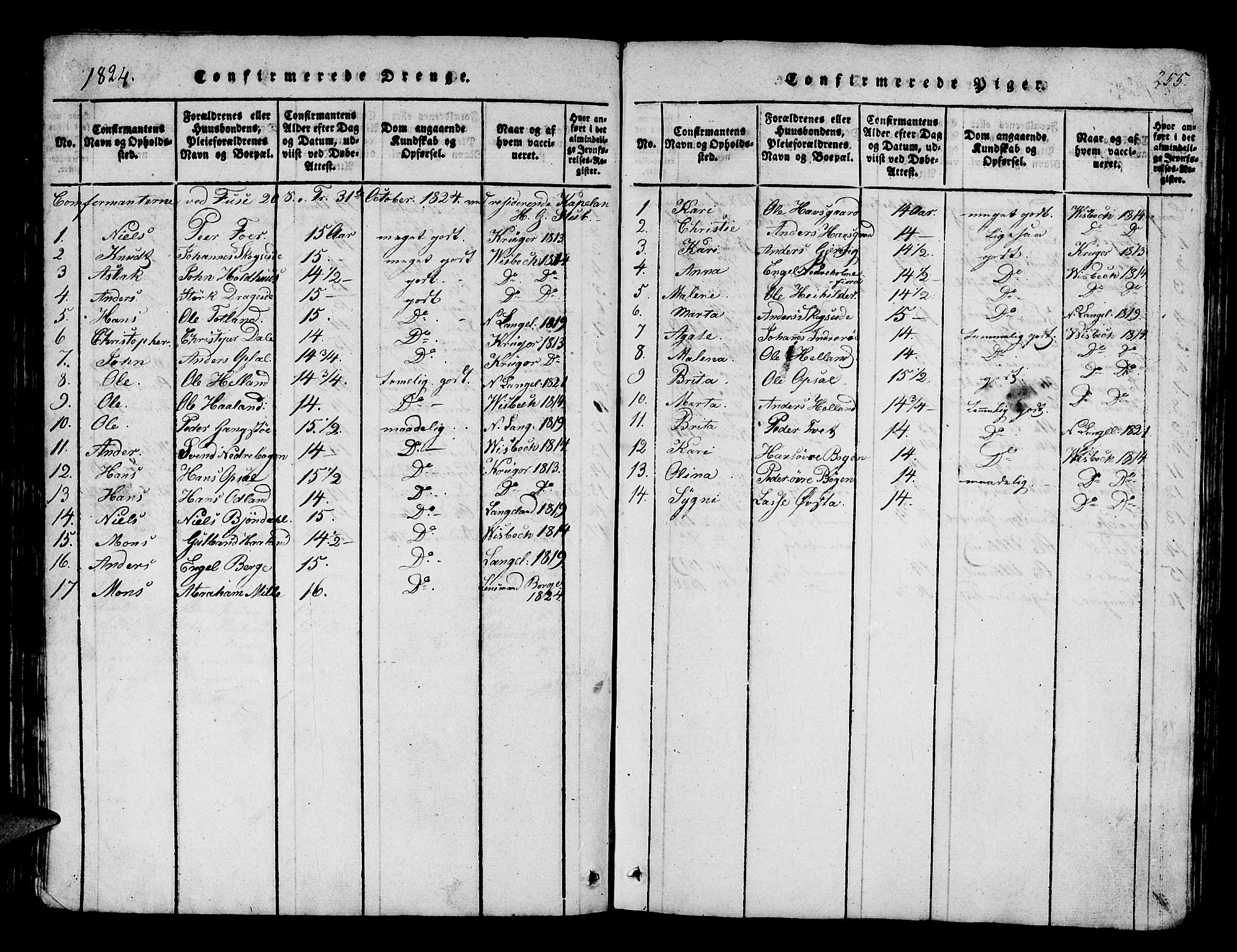 Os sokneprestembete, SAB/A-99929: Parish register (official) no. A 12, 1816-1825, p. 255