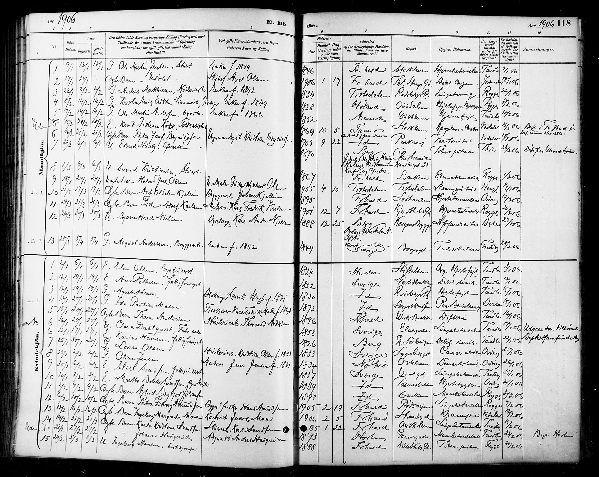 Halden prestekontor Kirkebøker, SAO/A-10909/F/Fa/L0014: Parish register (official) no. I 14, 1890-1906, p. 118