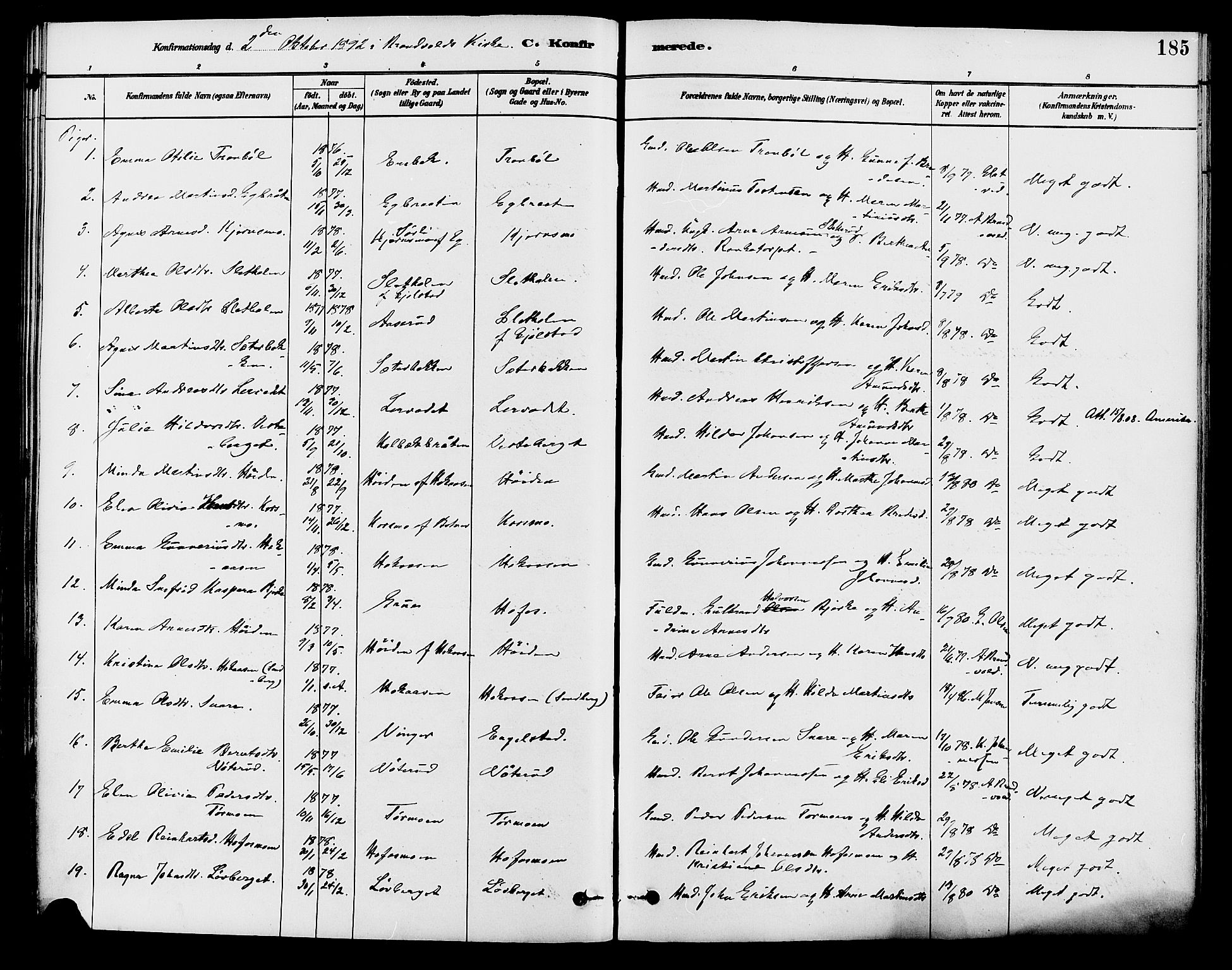 Brandval prestekontor, AV/SAH-PREST-034/H/Ha/Haa/L0002: Parish register (official) no. 2, 1880-1894, p. 185