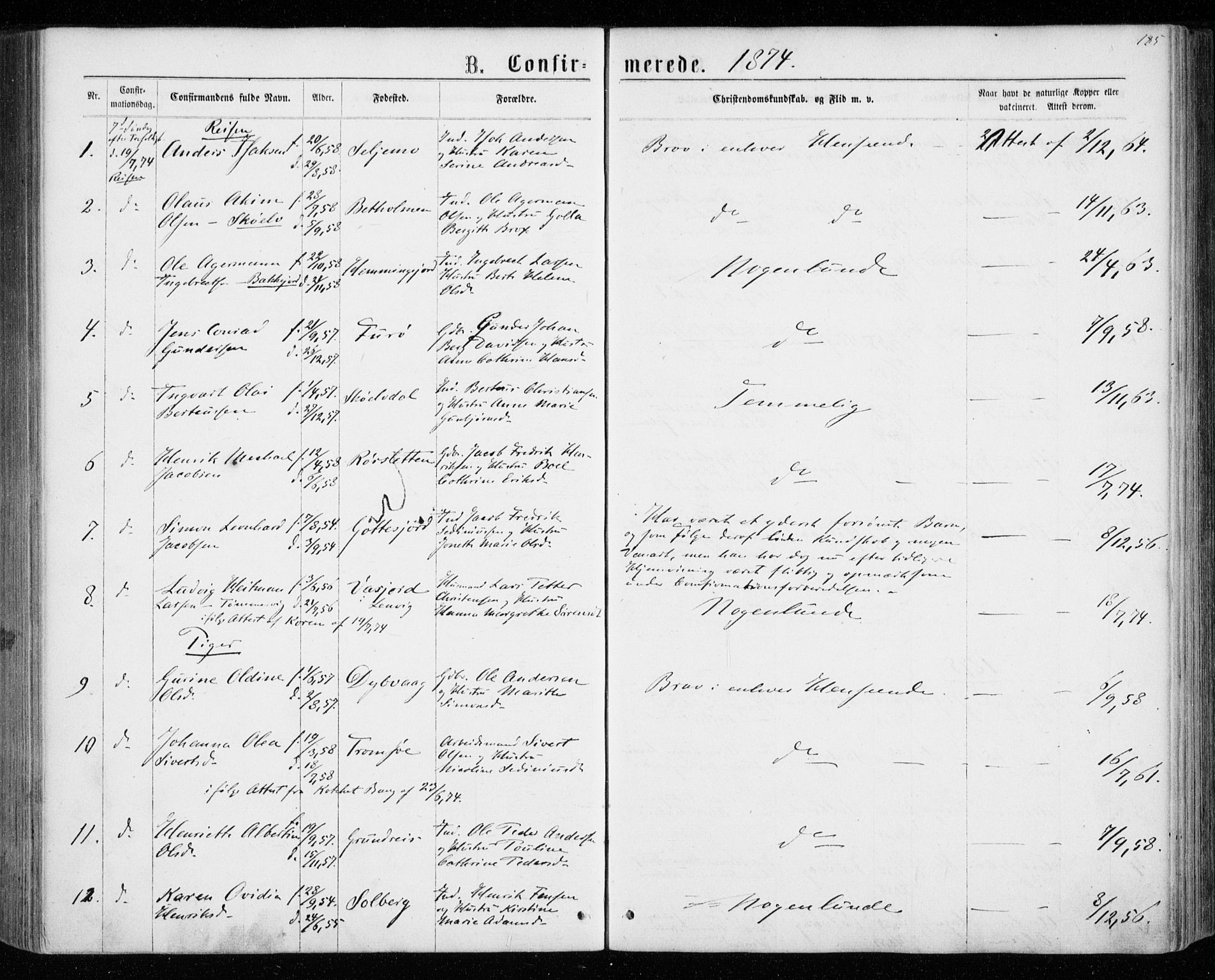 Tranøy sokneprestkontor, SATØ/S-1313/I/Ia/Iaa/L0008kirke: Parish register (official) no. 8, 1867-1877, p. 185