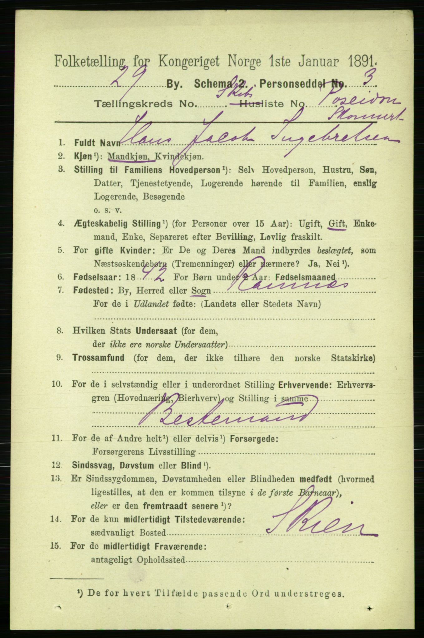 RA, 1891 census for 0805 Porsgrunn, 1891, p. 5452