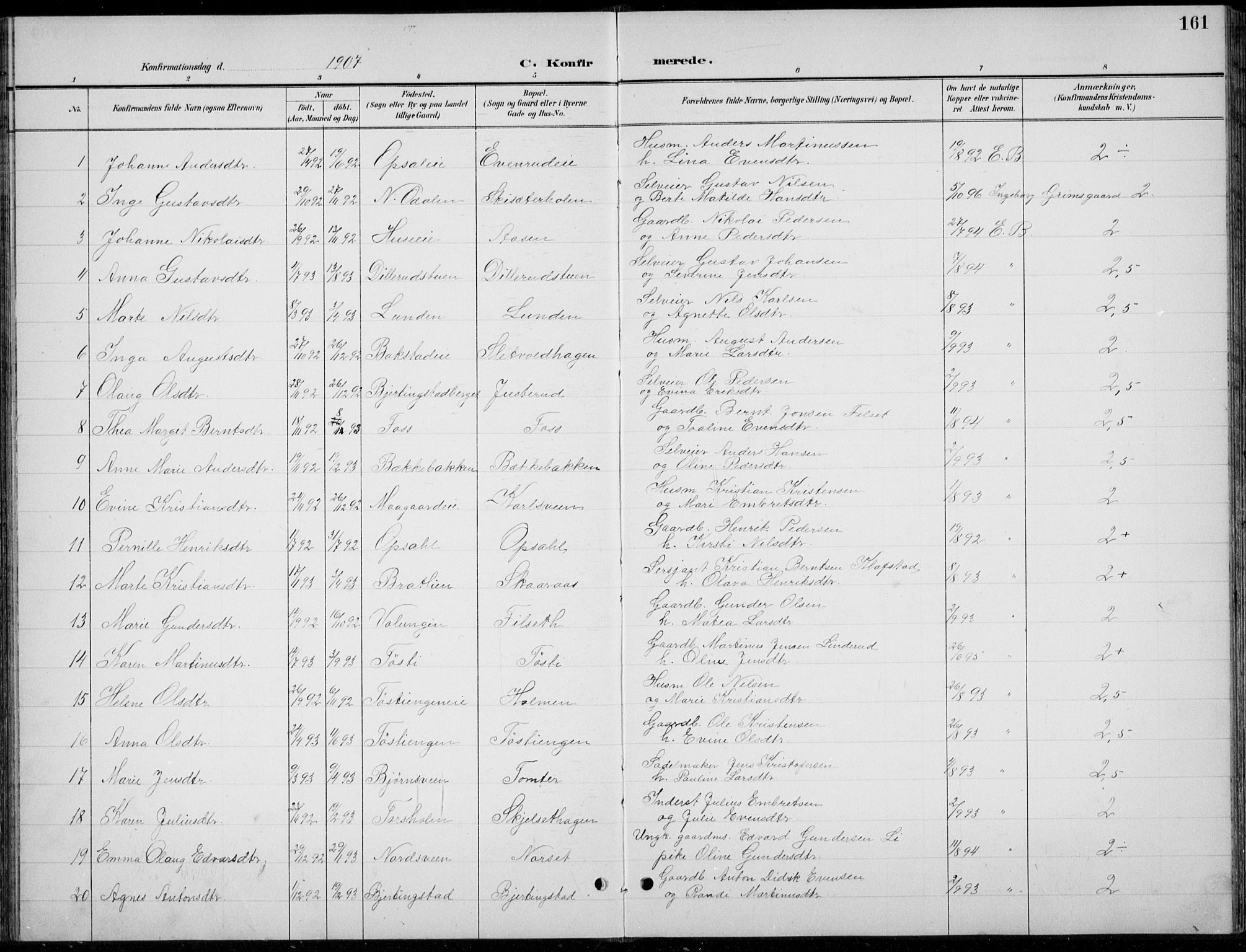 Romedal prestekontor, AV/SAH-PREST-004/L/L0013: Parish register (copy) no. 13, 1896-1937, p. 161