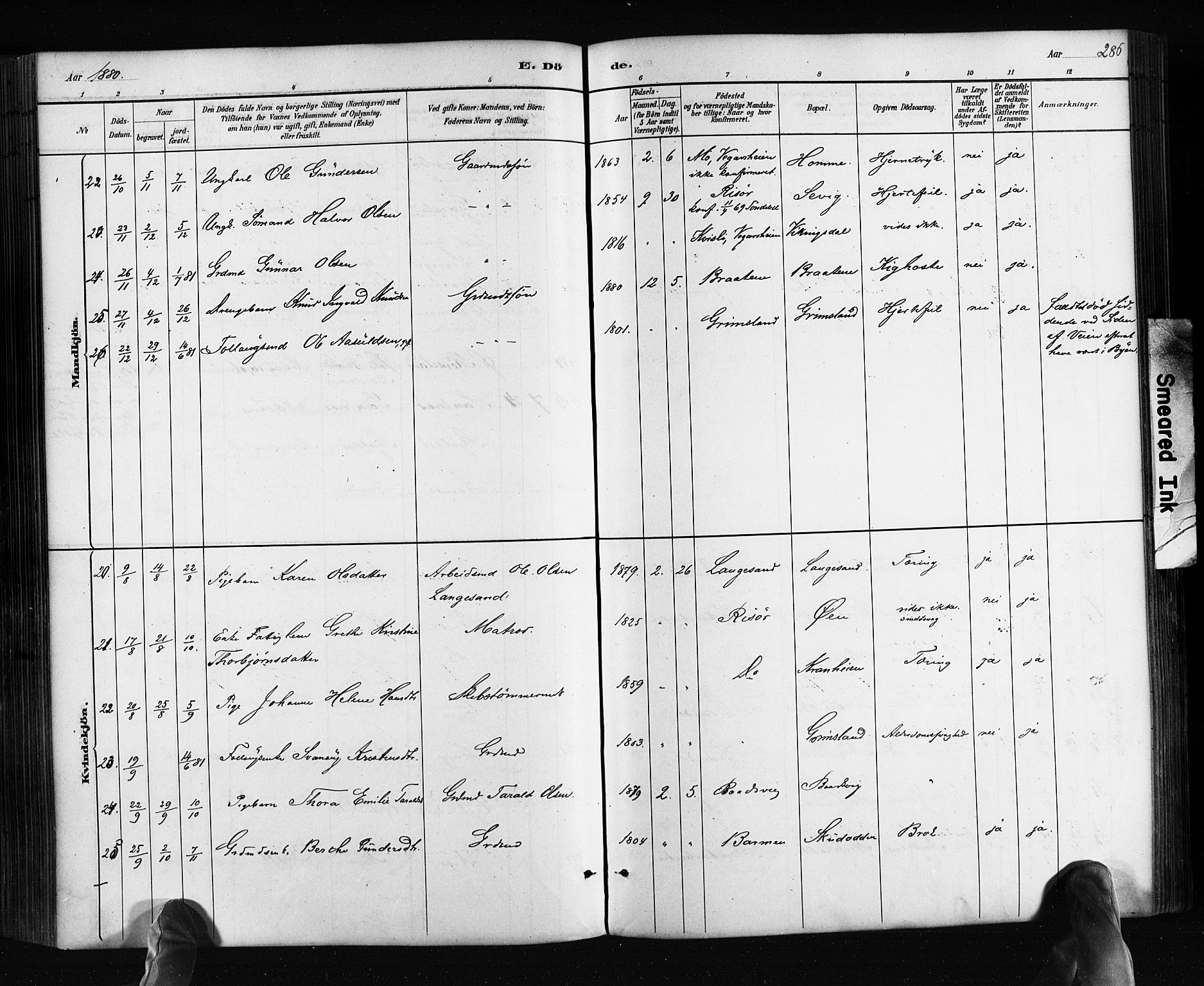 Søndeled sokneprestkontor, AV/SAK-1111-0038/F/Fa/L0004: Parish register (official) no. A 4, 1880-1889, p. 286