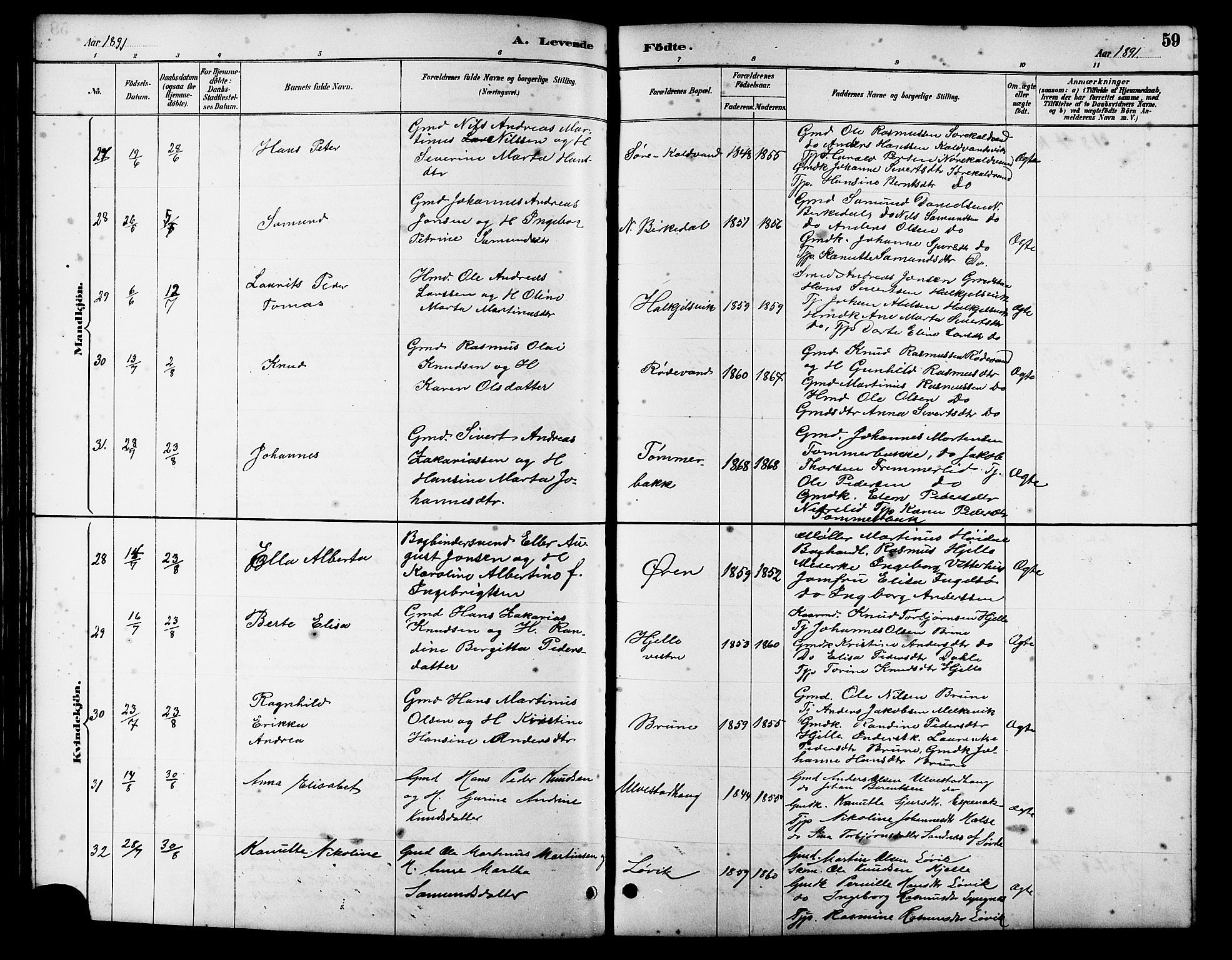 Ministerialprotokoller, klokkerbøker og fødselsregistre - Møre og Romsdal, AV/SAT-A-1454/511/L0158: Parish register (copy) no. 511C04, 1884-1903, p. 59