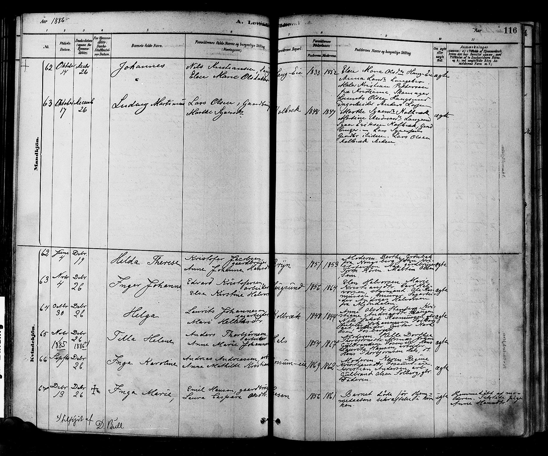 Eiker kirkebøker, AV/SAKO-A-4/F/Fb/L0001: Parish register (official) no. II 1, 1878-1888, p. 116