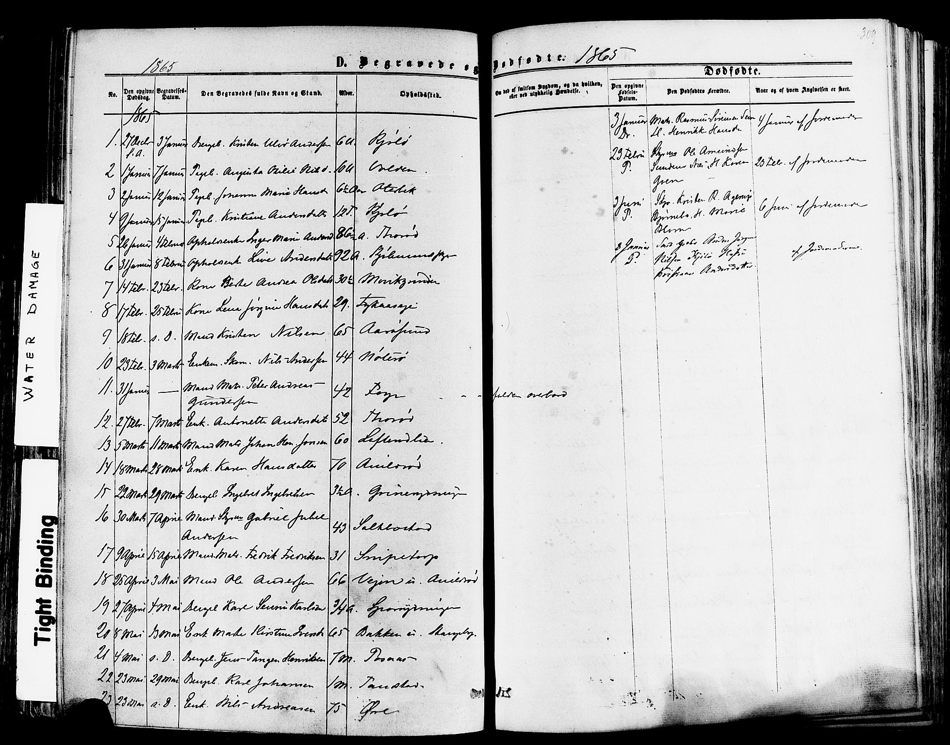 Nøtterøy kirkebøker, SAKO/A-354/F/Fa/L0007: Parish register (official) no. I 7, 1865-1877, p. 309