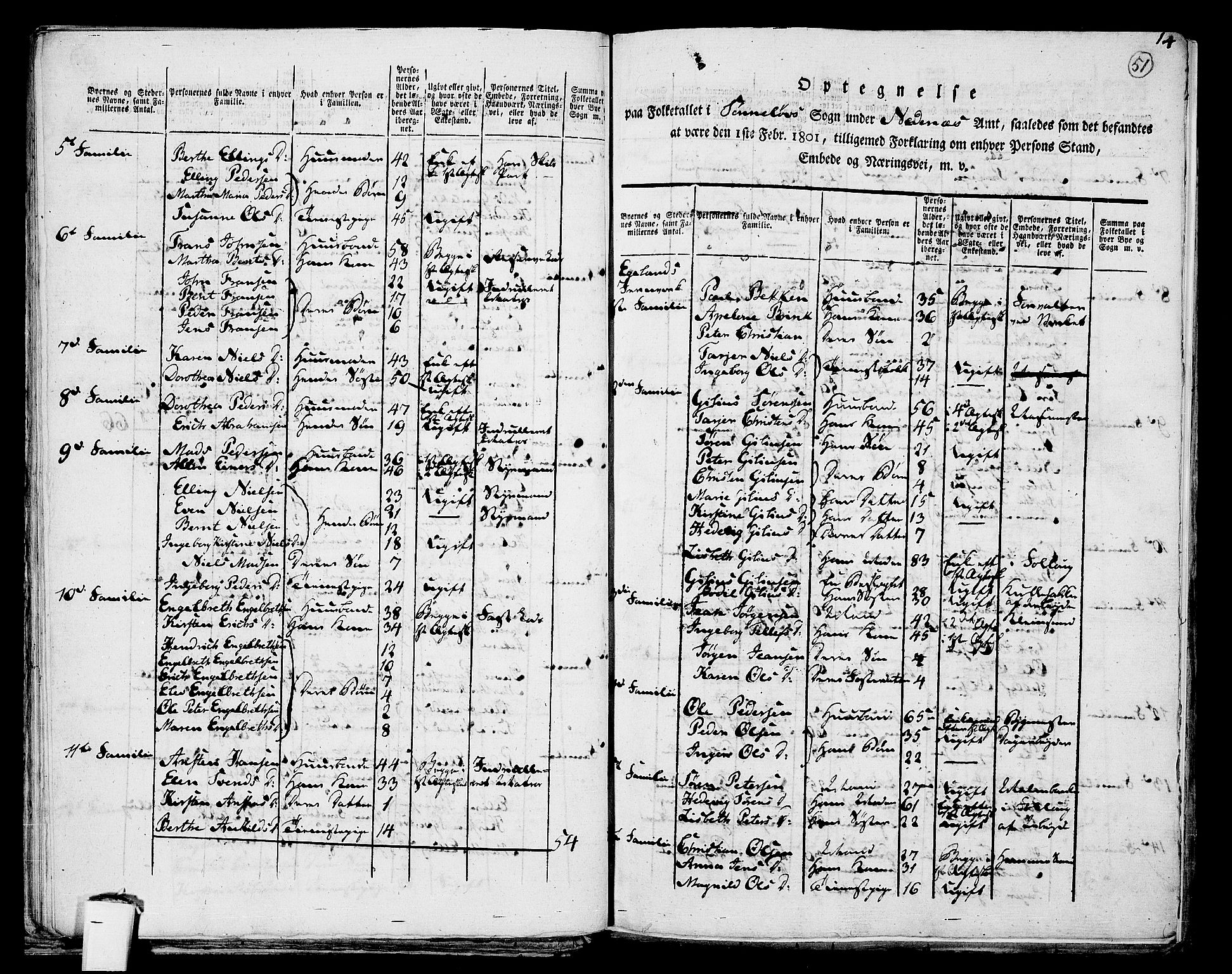 RA, 1801 census for 0901P Risør, 1801, p. 50b-51a