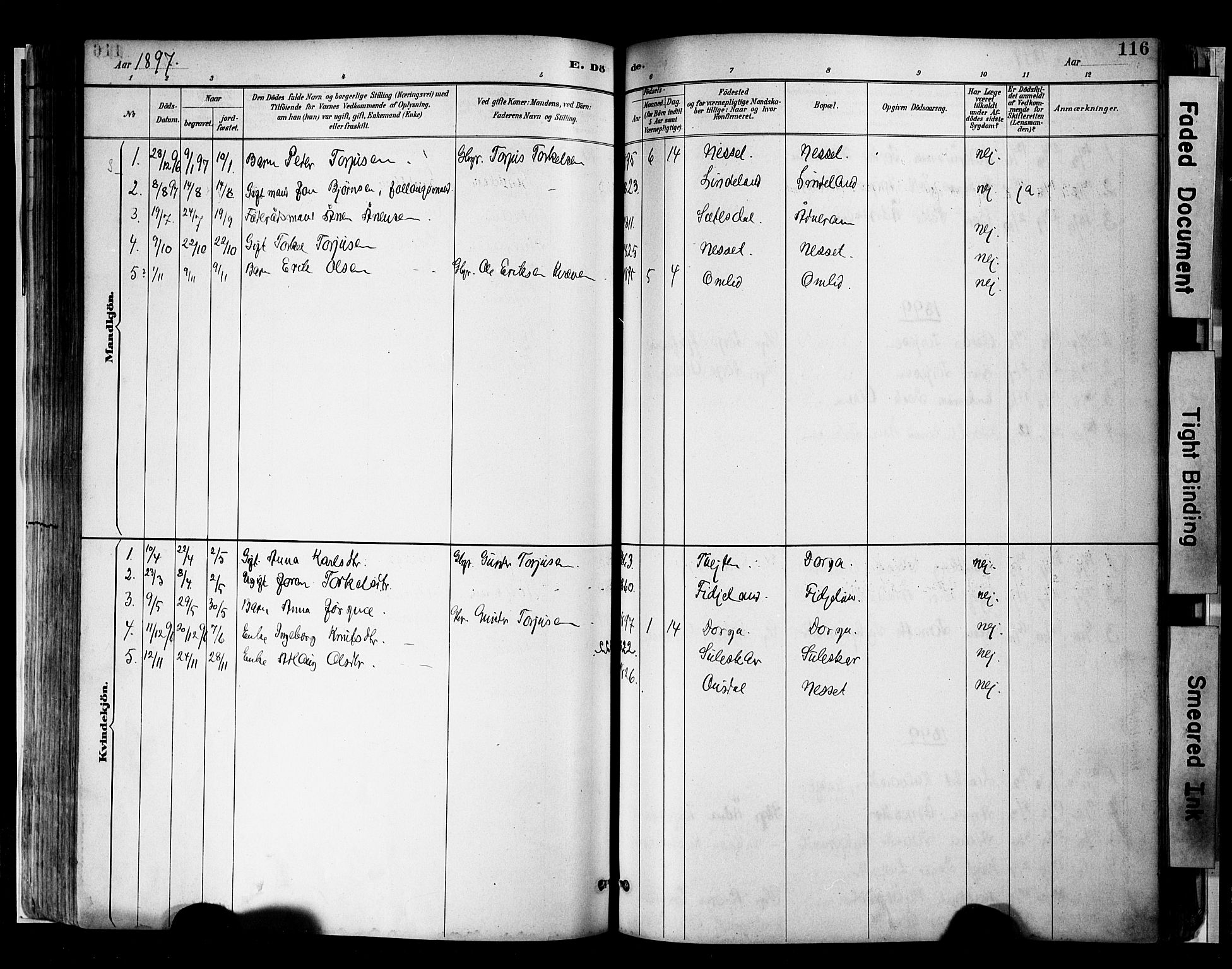 Sirdal sokneprestkontor, AV/SAK-1111-0036/F/Fa/Faa/L0001: Parish register (official) no. A 1, 1887-1910, p. 116