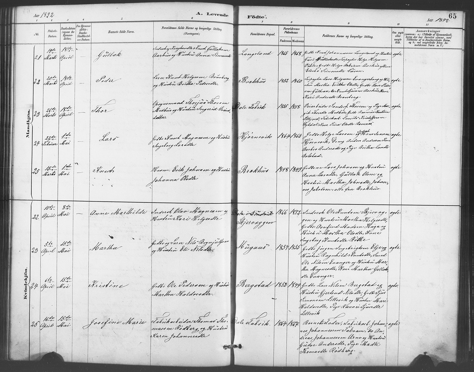 Evanger sokneprestembete, AV/SAB-A-99924: Parish register (copy) no. A 4, 1887-1897, p. 65