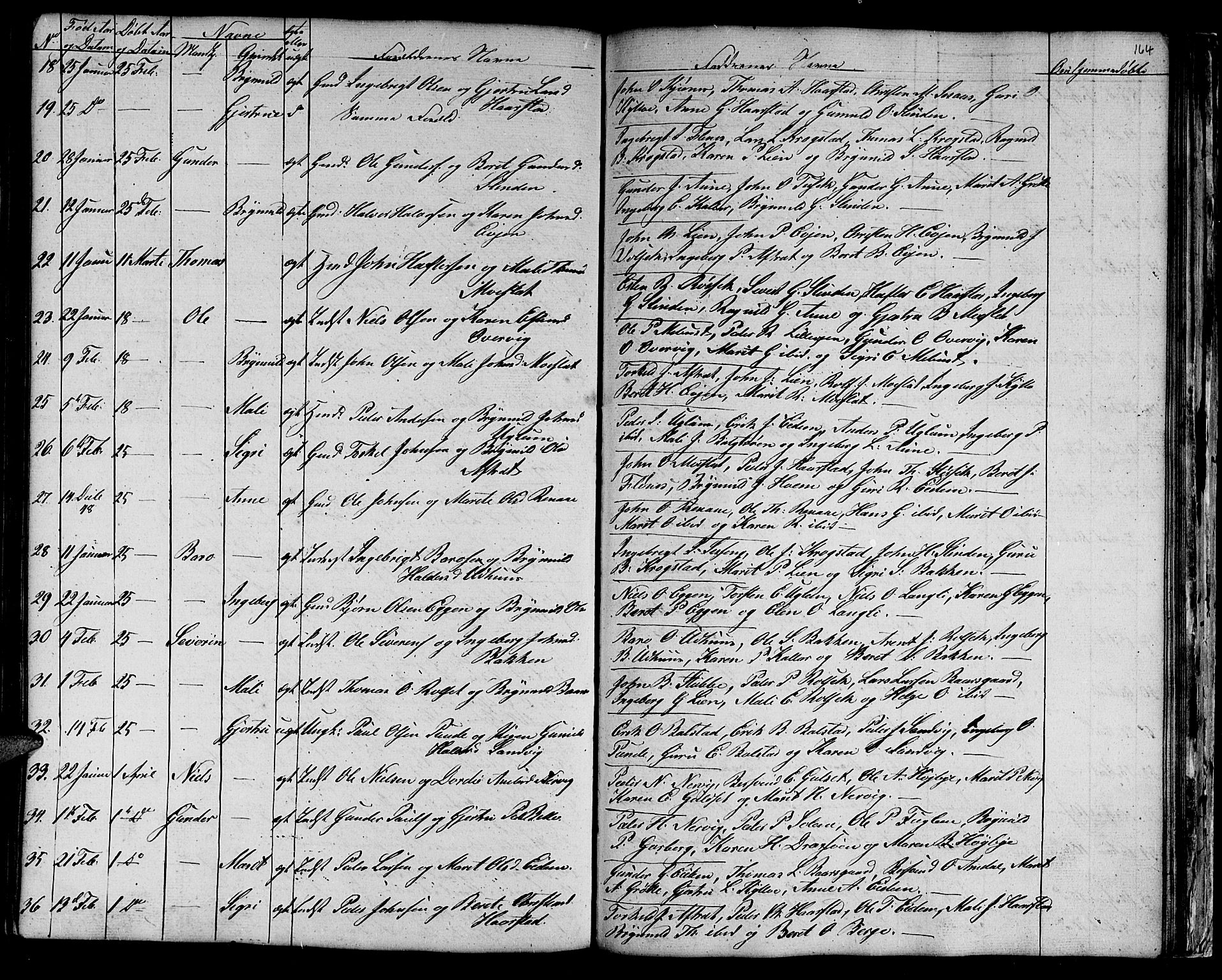 Ministerialprotokoller, klokkerbøker og fødselsregistre - Sør-Trøndelag, SAT/A-1456/695/L1154: Parish register (copy) no. 695C05, 1842-1858, p. 164