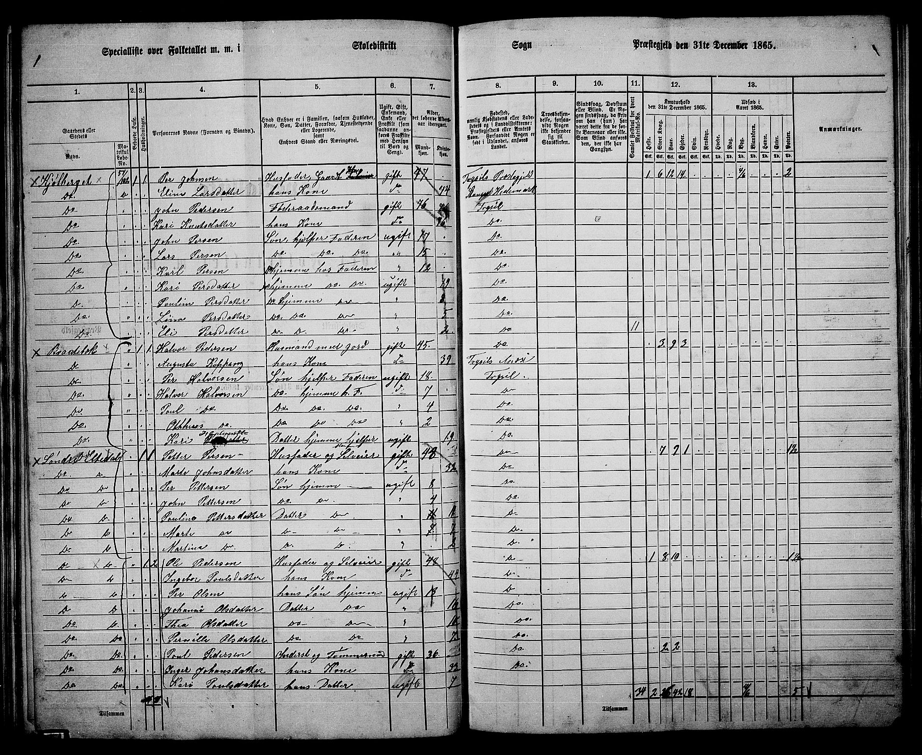 RA, 1865 census for Trysil, 1865, p. 58