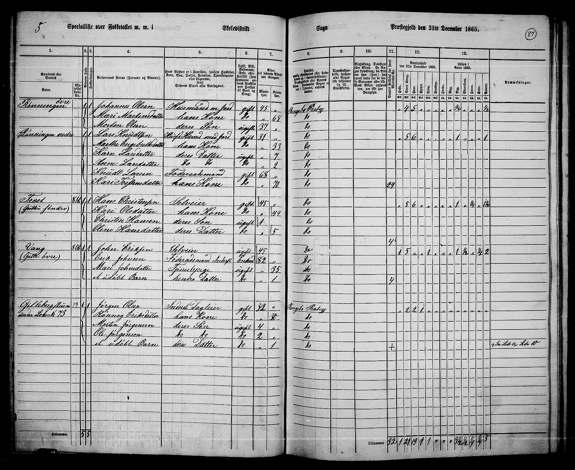 RA, 1865 census for Ringebu, 1865, p. 74