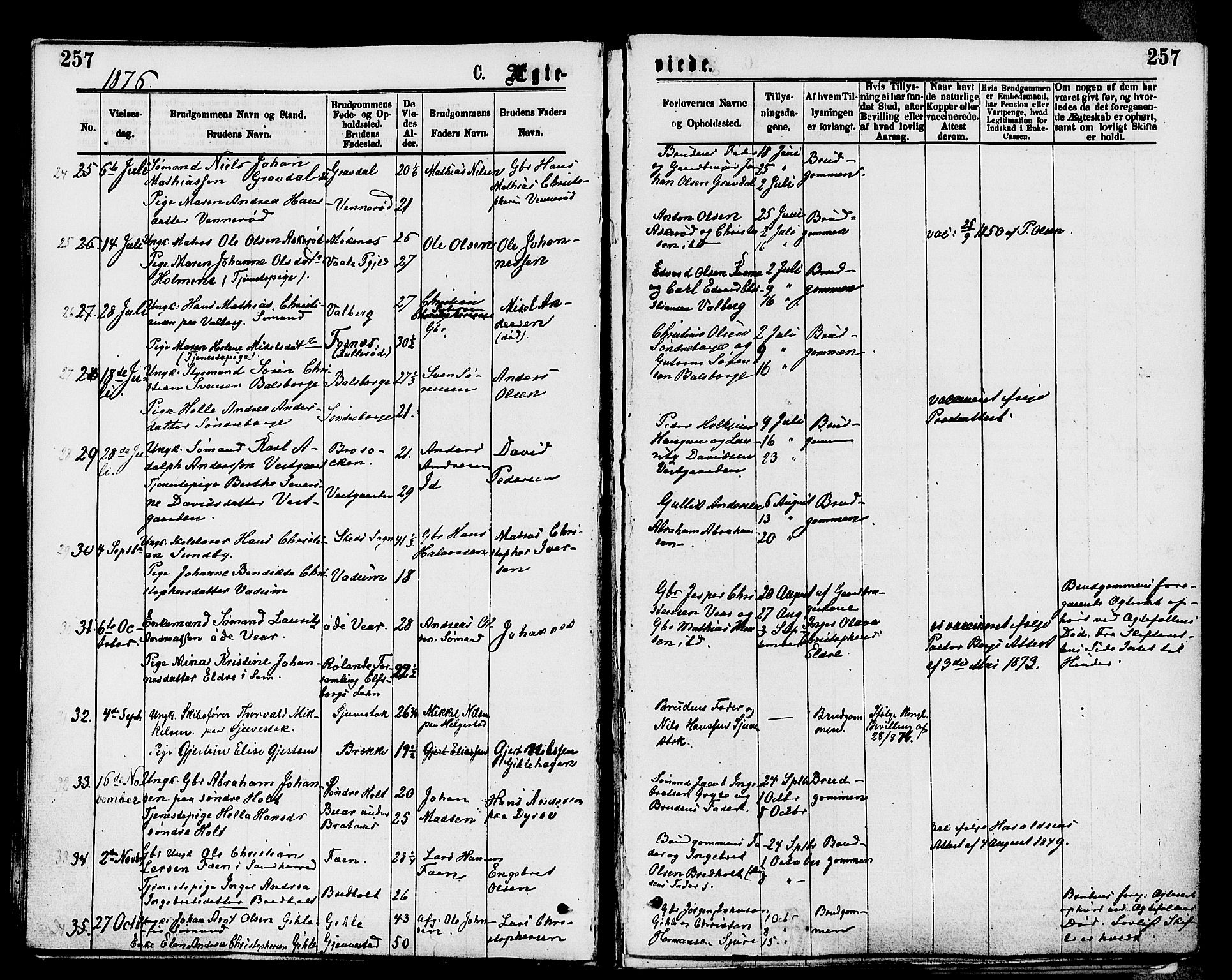 Stokke kirkebøker, AV/SAKO-A-320/F/Fa/L0009: Parish register (official) no. I 9, 1872-1883, p. 257