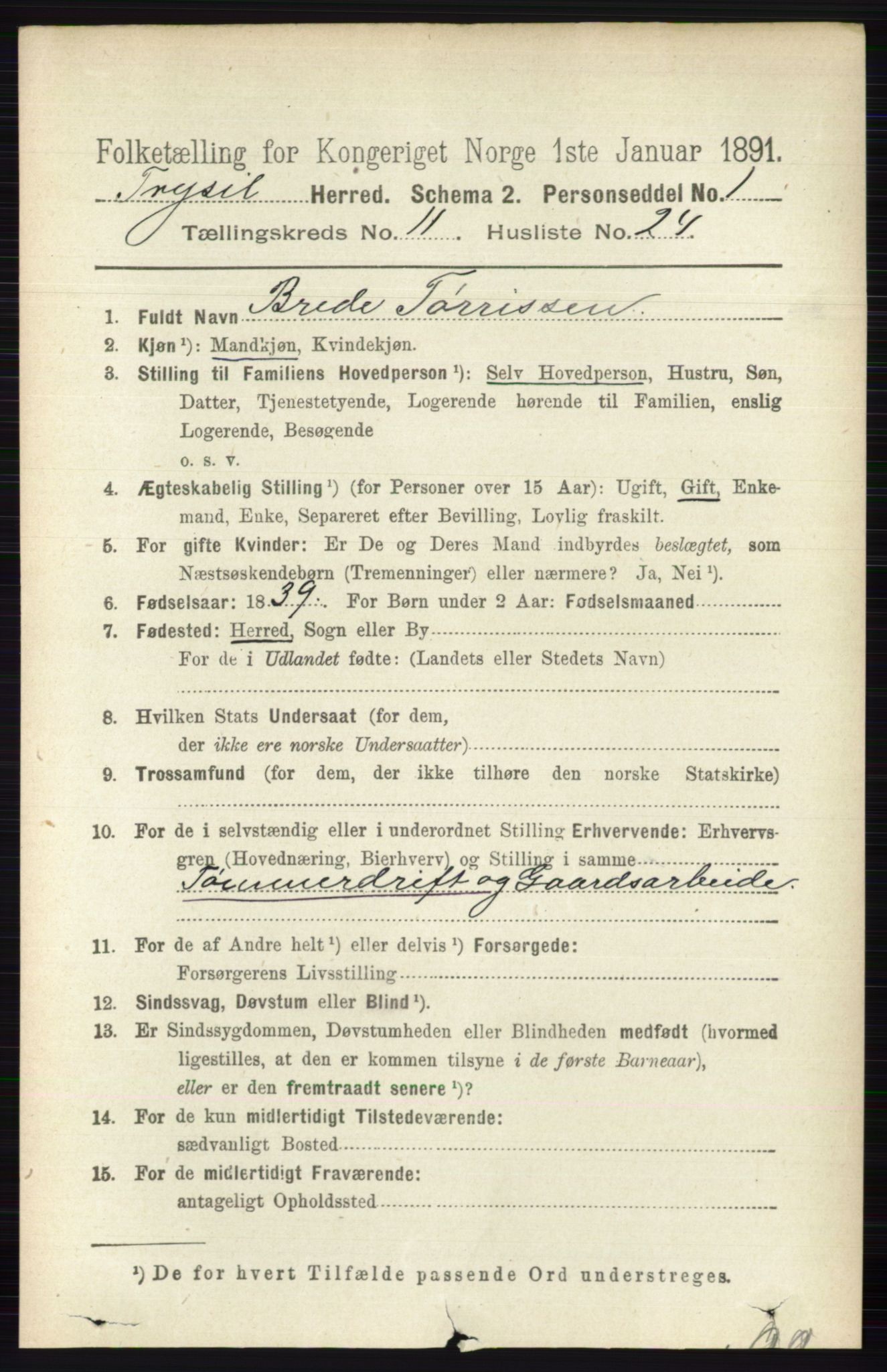 RA, 1891 census for 0428 Trysil, 1891, p. 5680