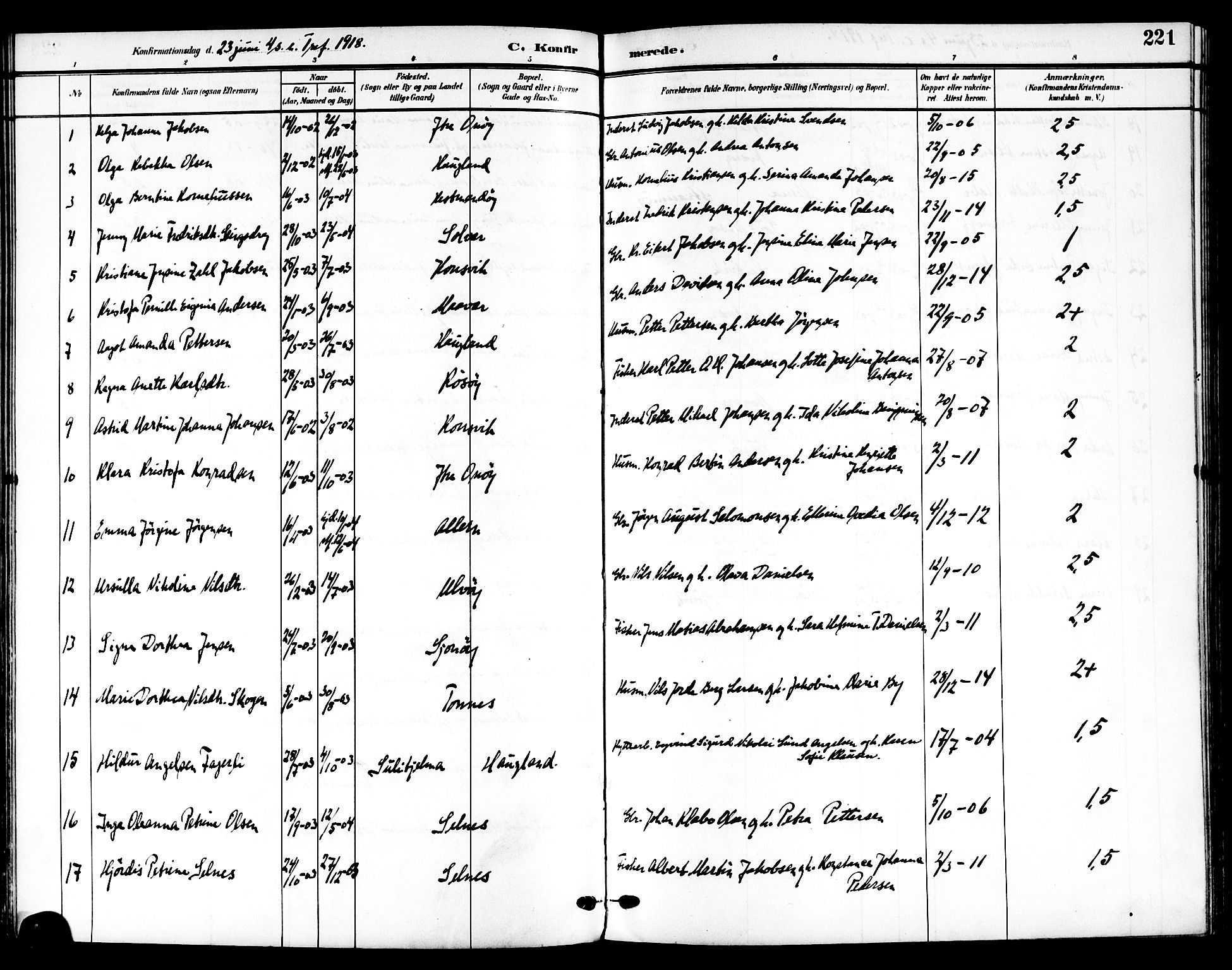 Ministerialprotokoller, klokkerbøker og fødselsregistre - Nordland, SAT/A-1459/839/L0569: Parish register (official) no. 839A06, 1903-1922, p. 221