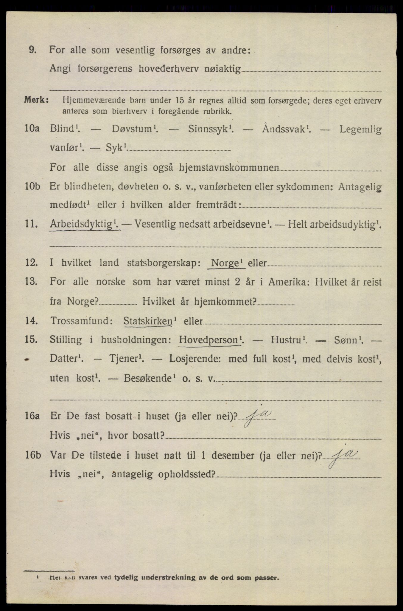 SAKO, 1920 census for Hol (Buskerud), 1920, p. 4930