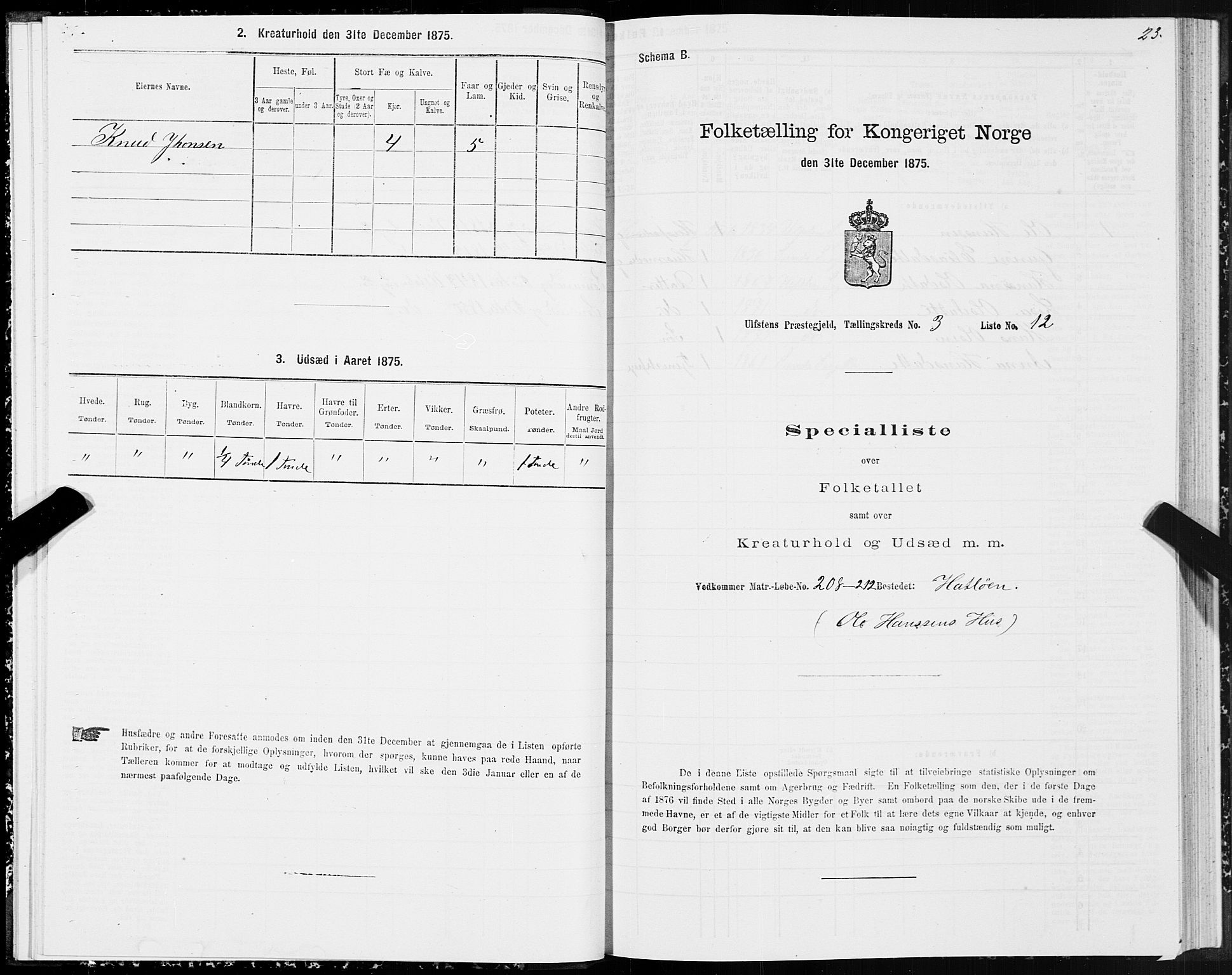 SAT, 1875 census for 1516P Ulstein, 1875, p. 2023