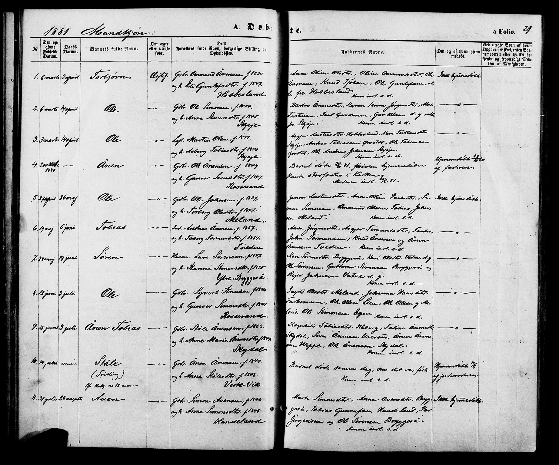 Hægebostad sokneprestkontor, SAK/1111-0024/F/Fa/Fab/L0003: Parish register (official) no. A 3, 1872-1886, p. 29