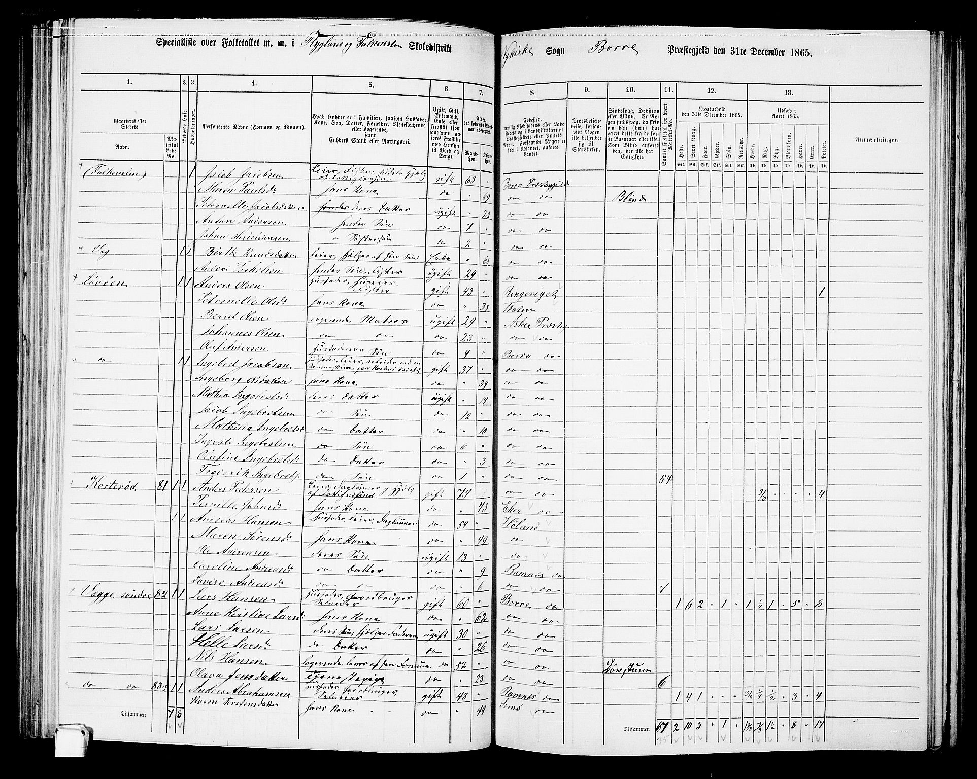 RA, 1865 census for Borre, 1865, p. 128