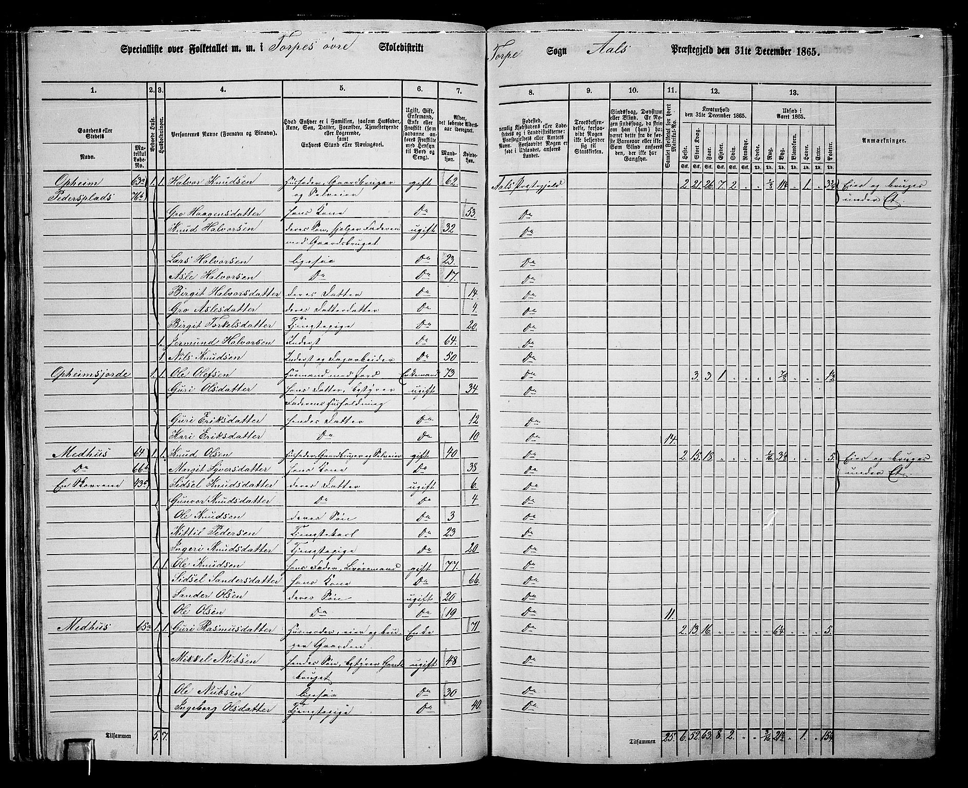 RA, 1865 census for Ål, 1865, p. 46