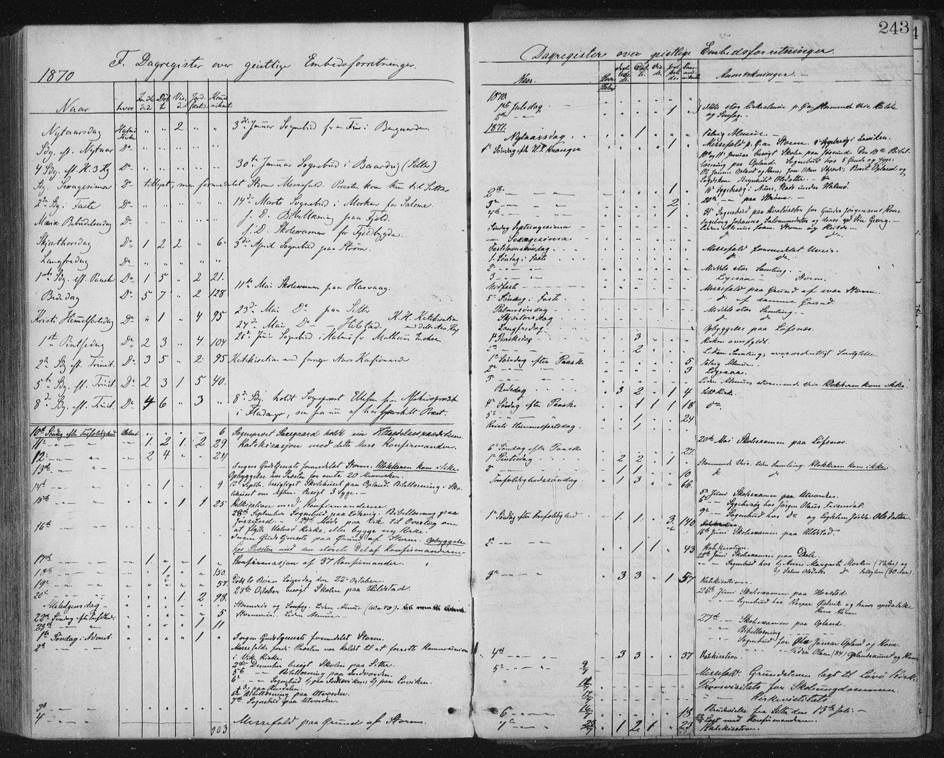 Ministerialprotokoller, klokkerbøker og fødselsregistre - Nord-Trøndelag, SAT/A-1458/771/L0596: Parish register (official) no. 771A03, 1870-1884, p. 243