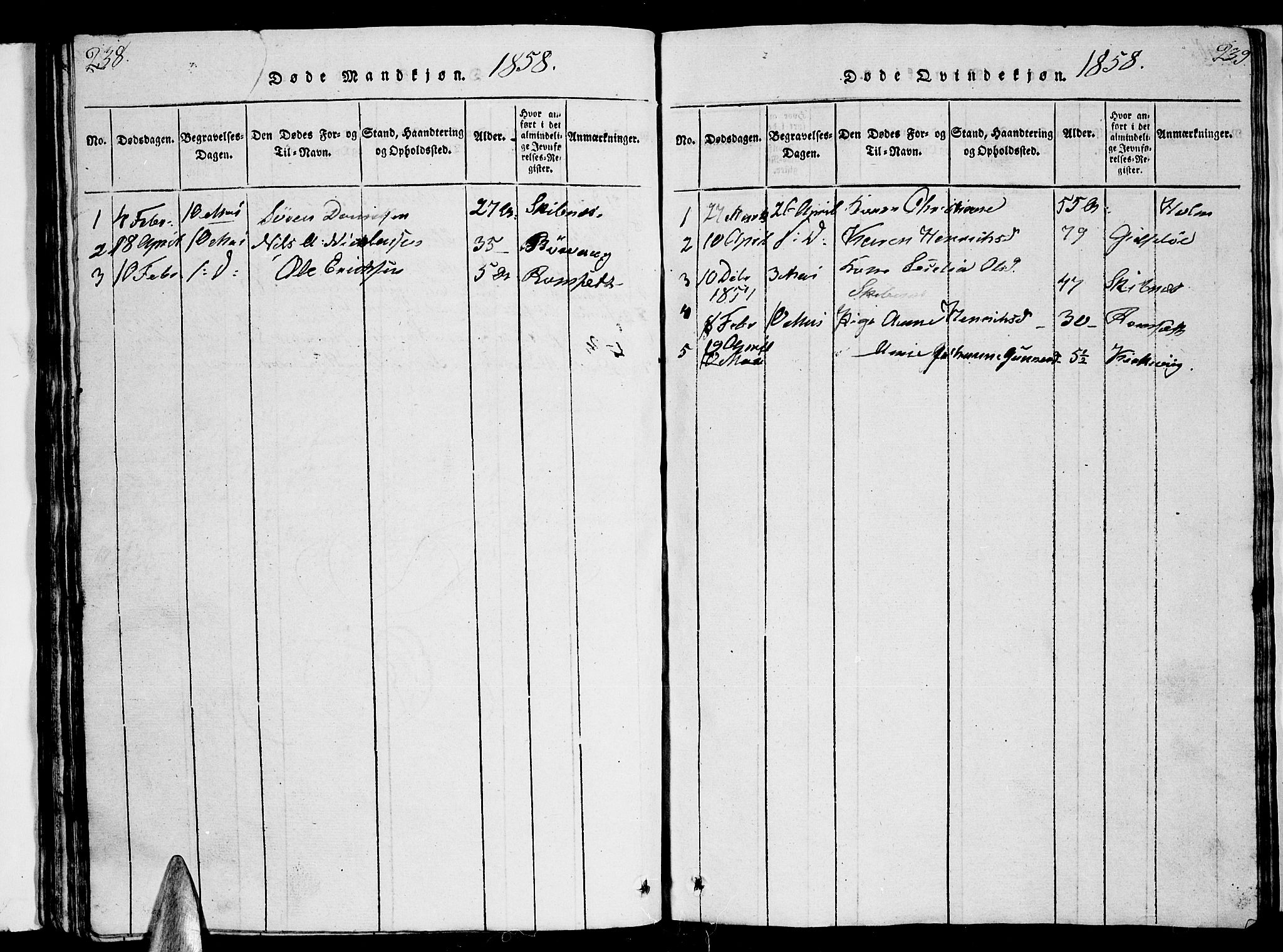 Ministerialprotokoller, klokkerbøker og fødselsregistre - Nordland, AV/SAT-A-1459/893/L1346: Parish register (copy) no. 893C01, 1820-1858, p. 238-239