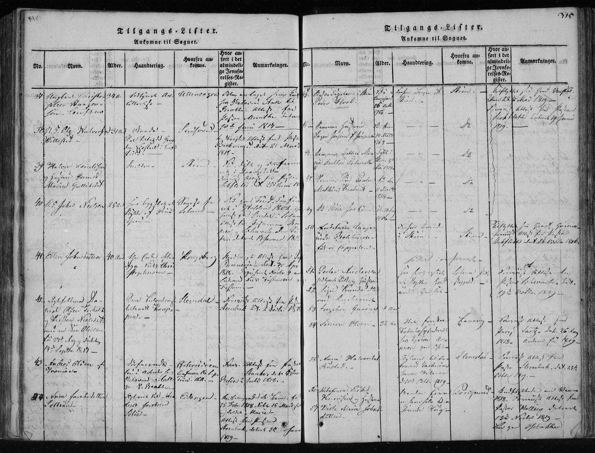 Gjerpen kirkebøker, SAKO/A-265/F/Fa/L0004: Parish register (official) no. I 4, 1814-1823, p. 315
