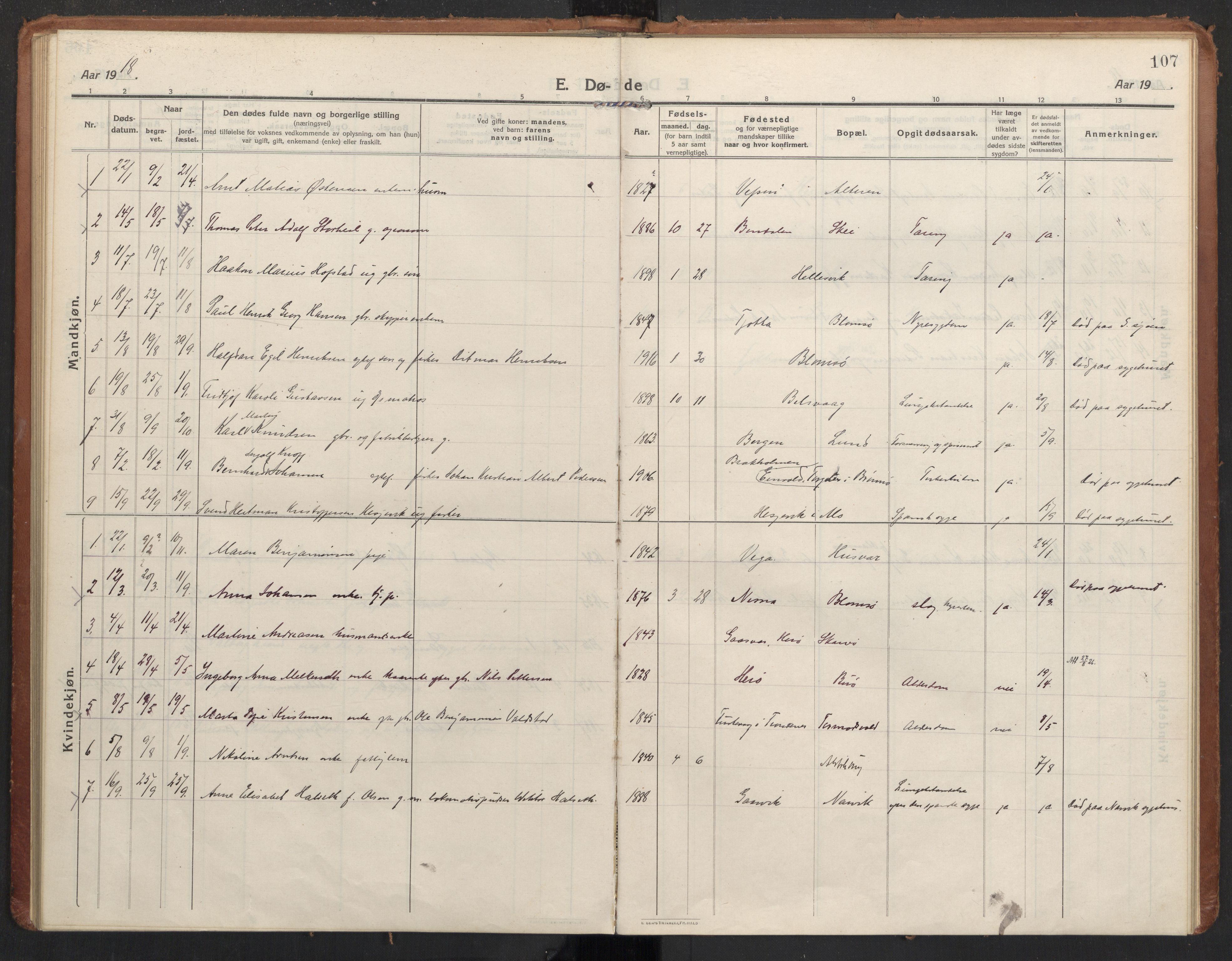 Ministerialprotokoller, klokkerbøker og fødselsregistre - Nordland, AV/SAT-A-1459/830/L0456: Parish register (official) no. 830A20, 1914-1937, p. 107