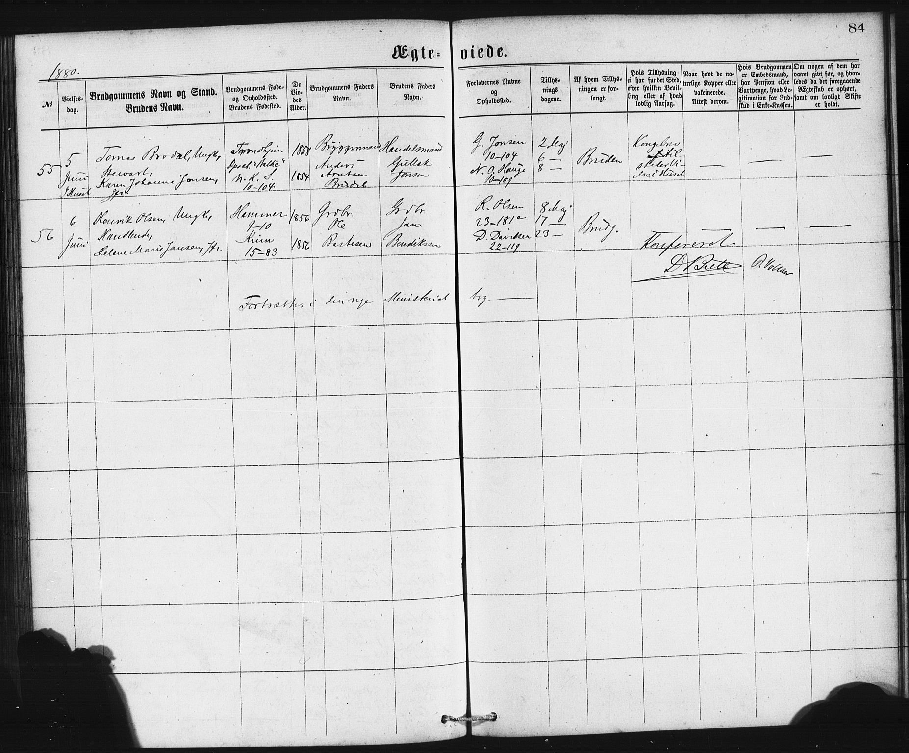 Domkirken sokneprestembete, SAB/A-74801/H/Haa/L0036: Parish register (official) no. D 3, 1875-1880, p. 84