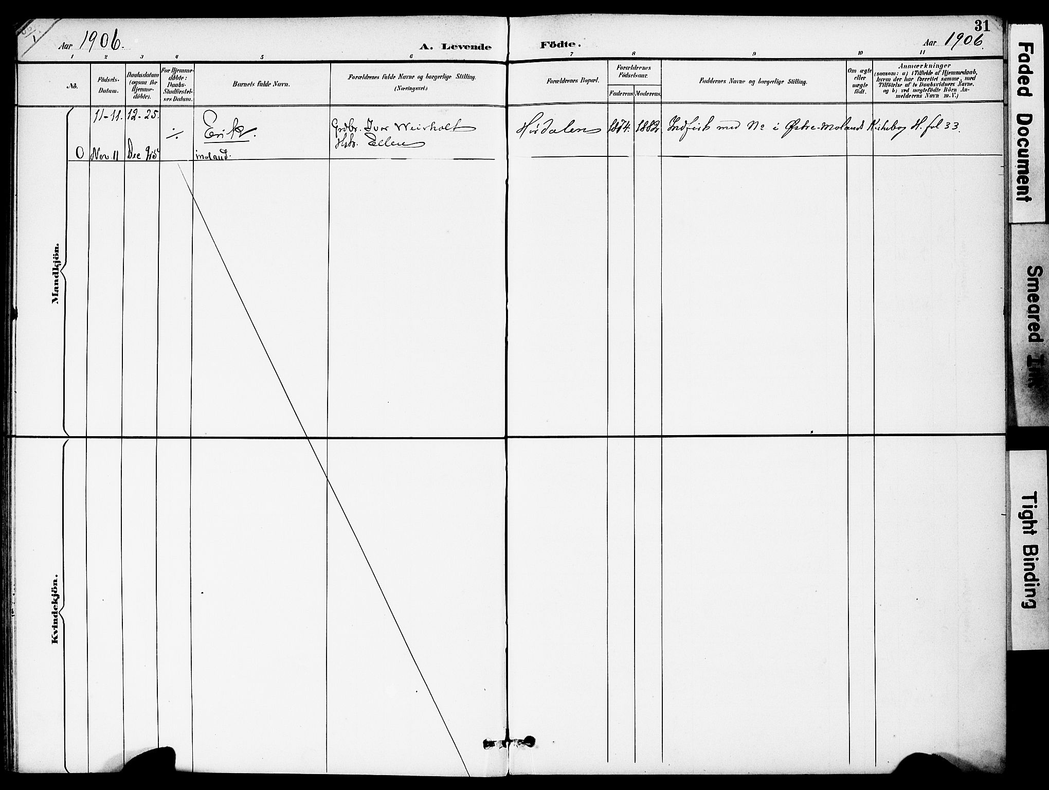 Austre Moland sokneprestkontor, AV/SAK-1111-0001/F/Fa/Fab/L0002: Parish register (official) no. A 2, 1894-1919, p. 31