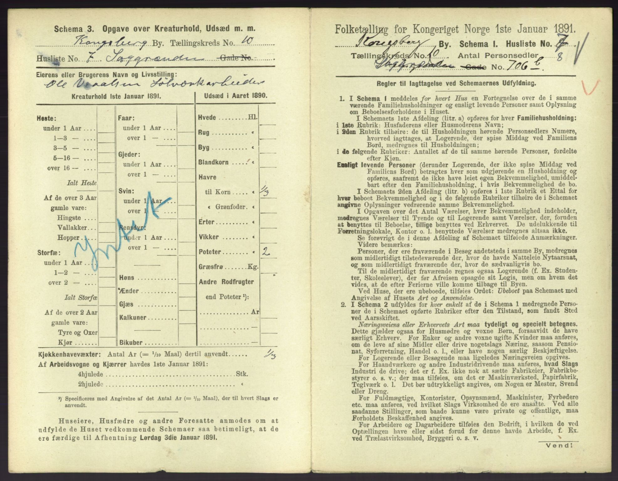 RA, 1891 census for 0604 Kongsberg, 1891, p. 1385