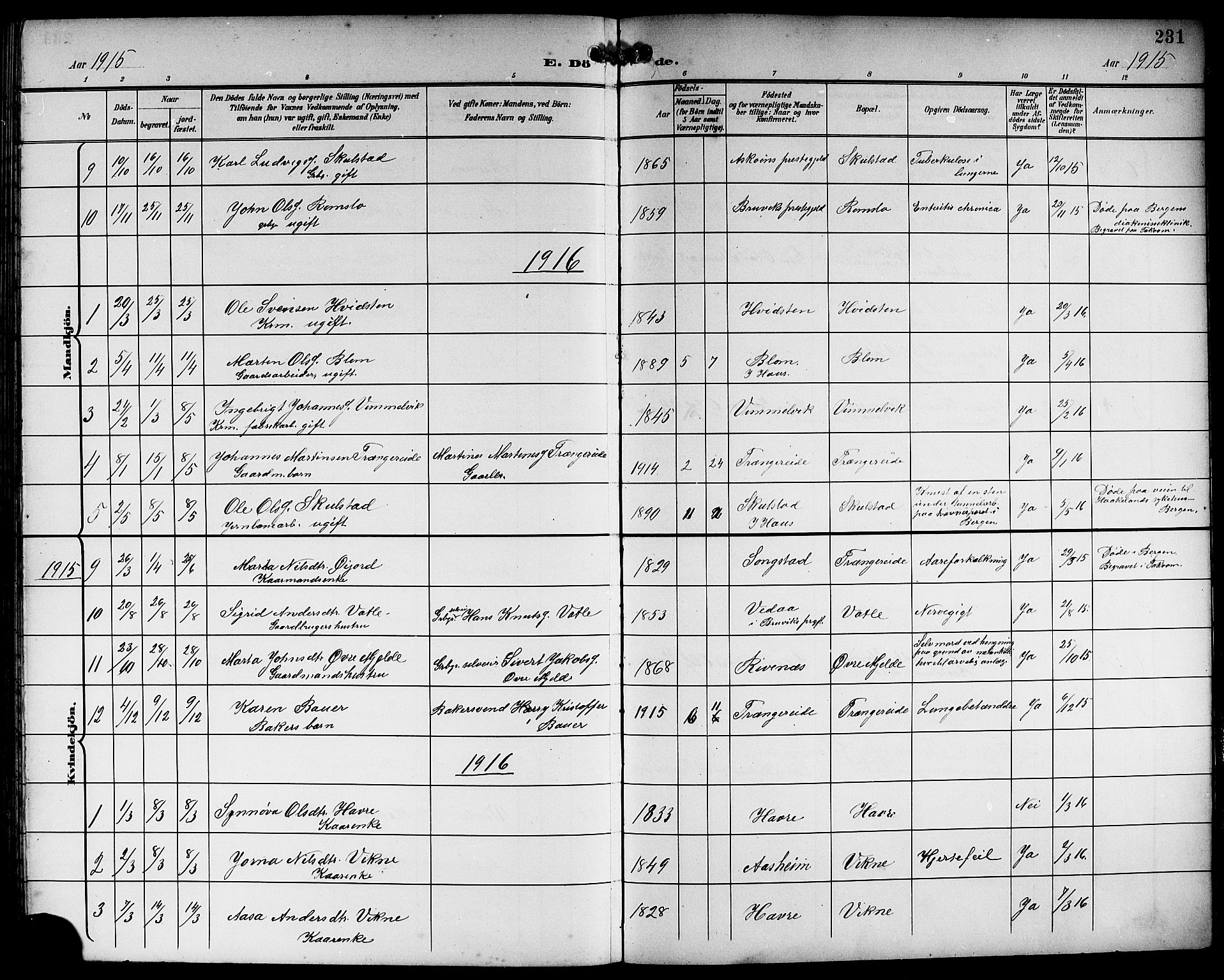 Haus sokneprestembete, SAB/A-75601/H/Hab: Parish register (copy) no. B 4, 1900-1921, p. 231