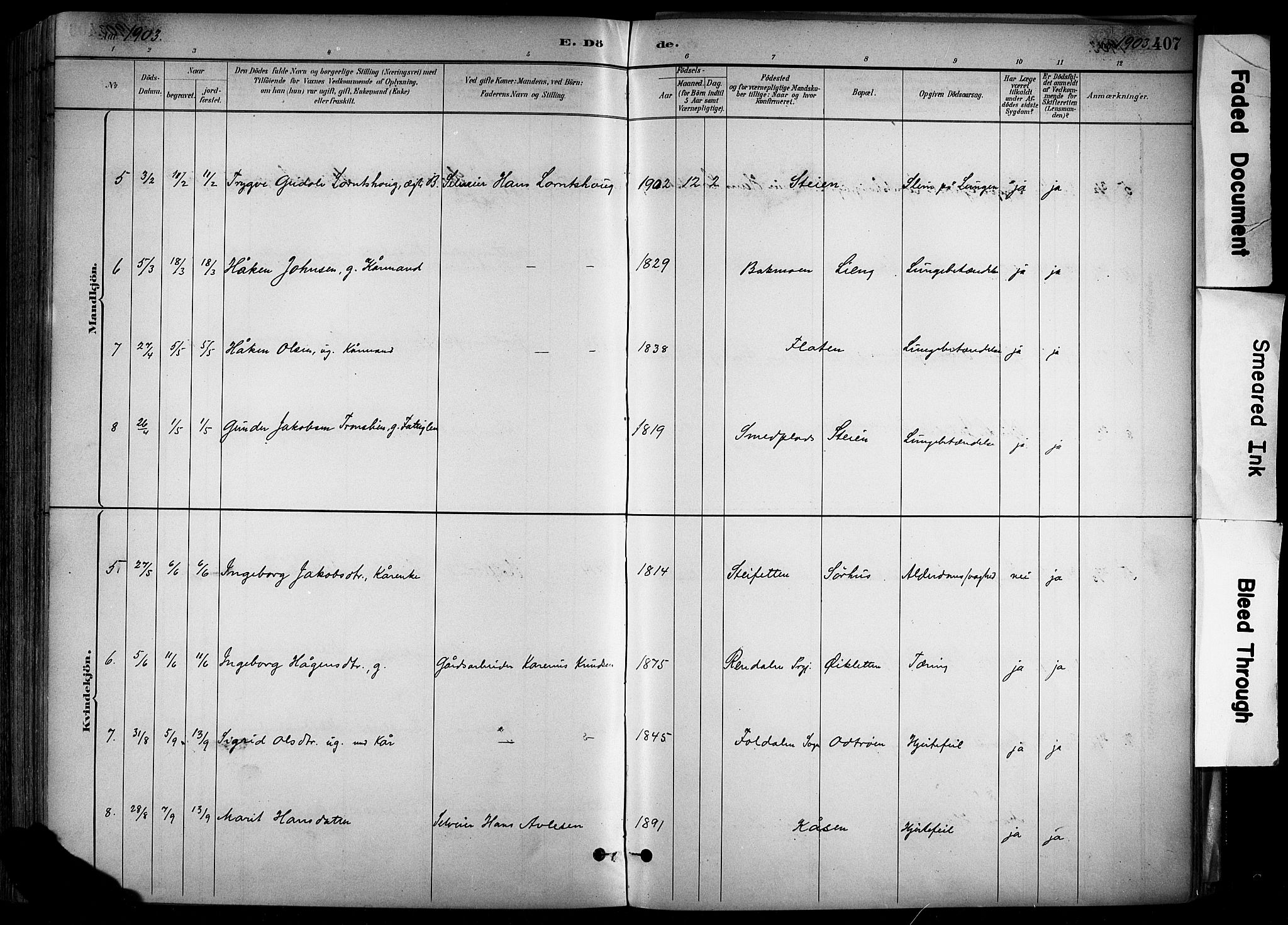 Alvdal prestekontor, SAH/PREST-060/H/Ha/Haa/L0002: Parish register (official) no. 2, 1883-1906, p. 407