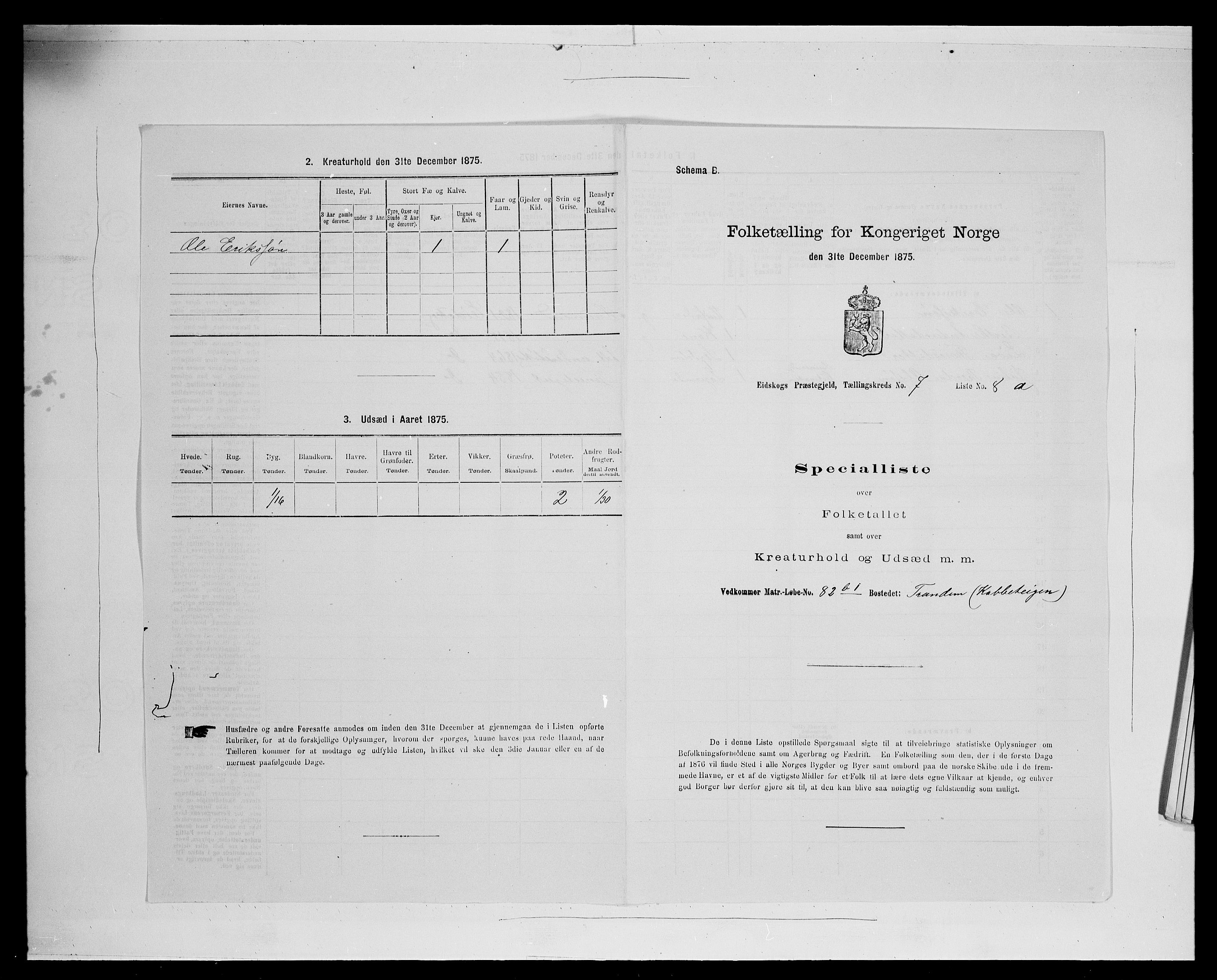 SAH, 1875 census for 0420P Eidskog, 1875, p. 1248