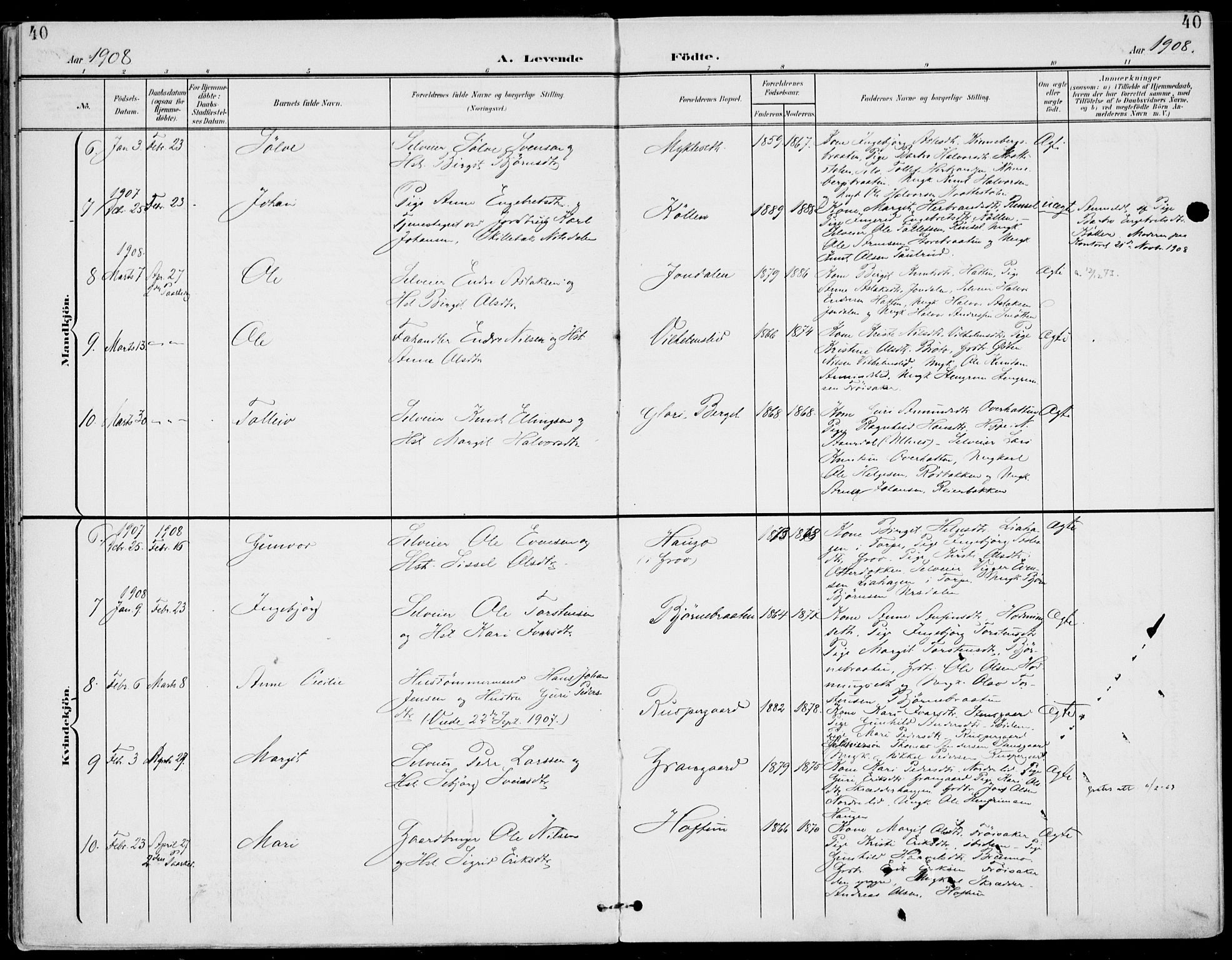 Gol kirkebøker, AV/SAKO-A-226/F/Fa/L0006: Parish register (official) no. I 6, 1901-1918, p. 40