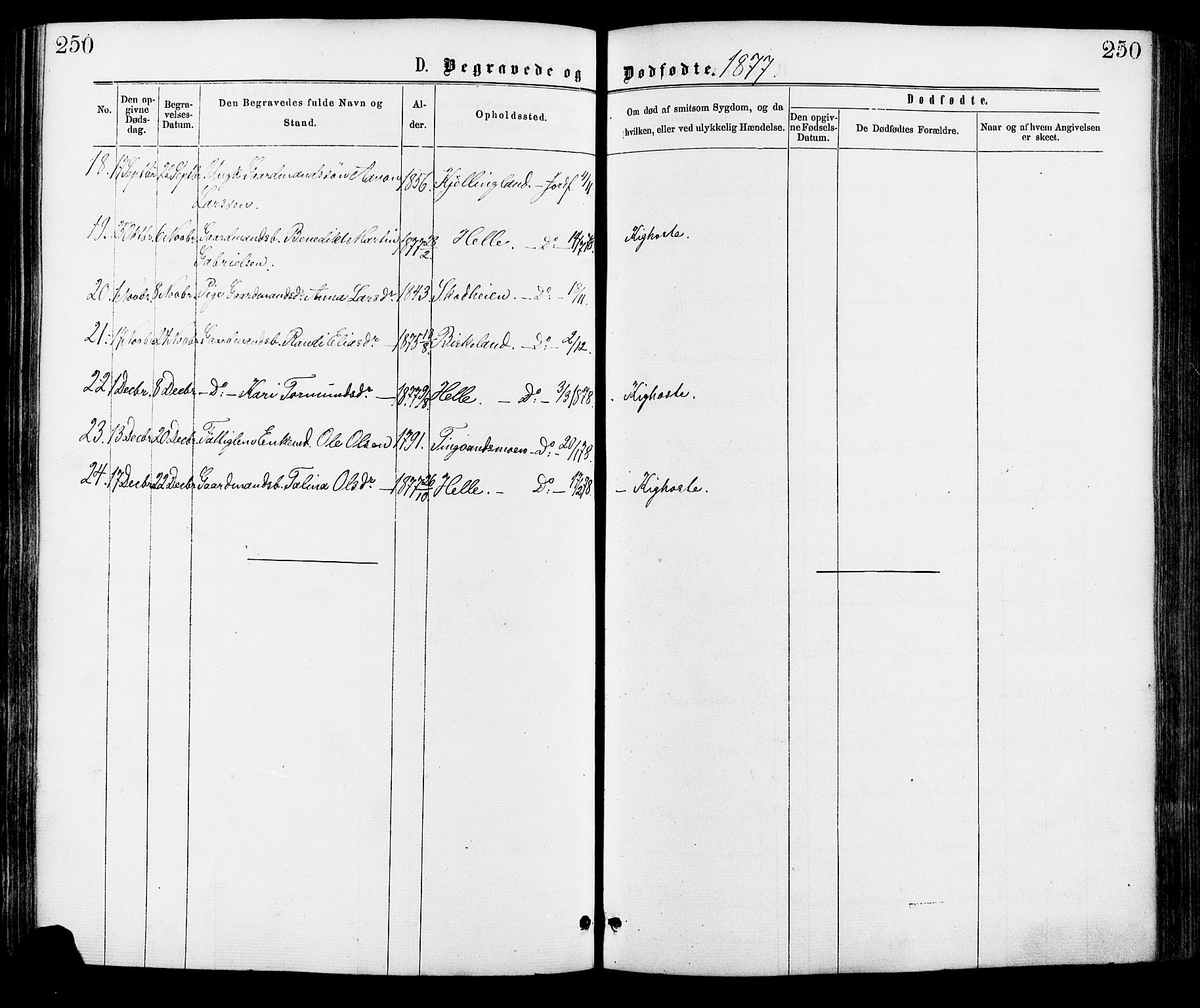 Hægebostad sokneprestkontor, AV/SAK-1111-0024/F/Fa/Faa/L0005: Parish register (official) no. A 5, 1864-1886, p. 250