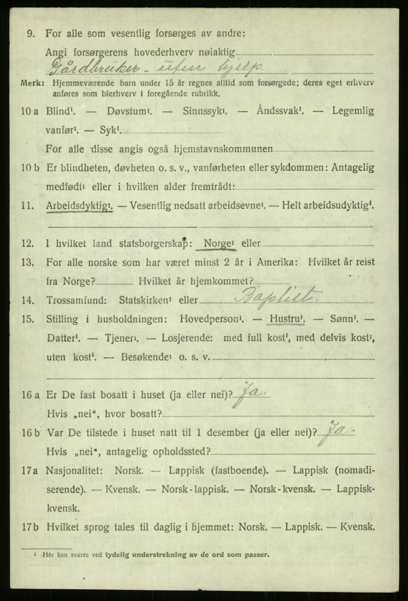 SATØ, 1920 census for Trondenes, 1920, p. 20808