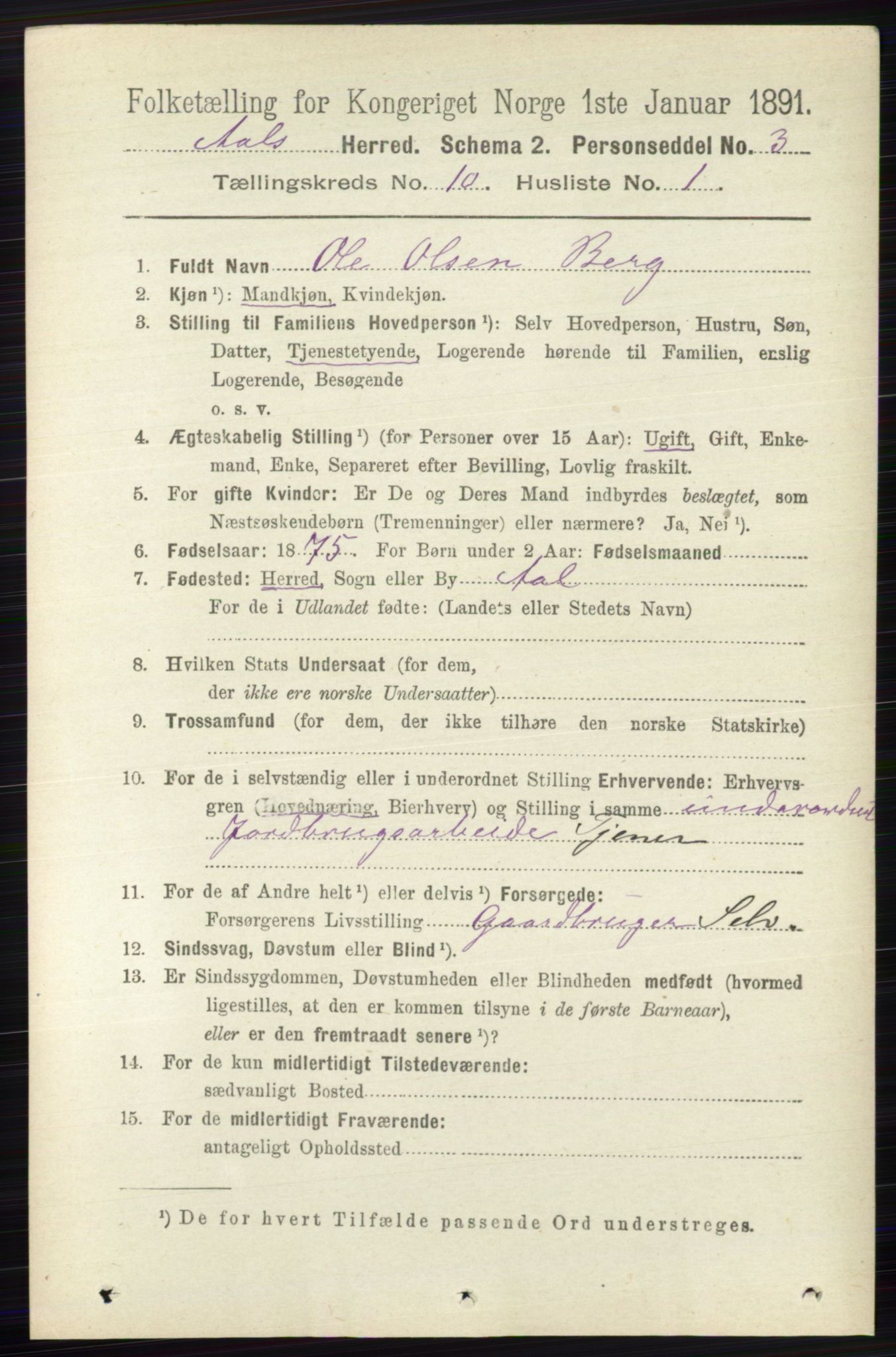 RA, 1891 census for 0619 Ål, 1891, p. 2695