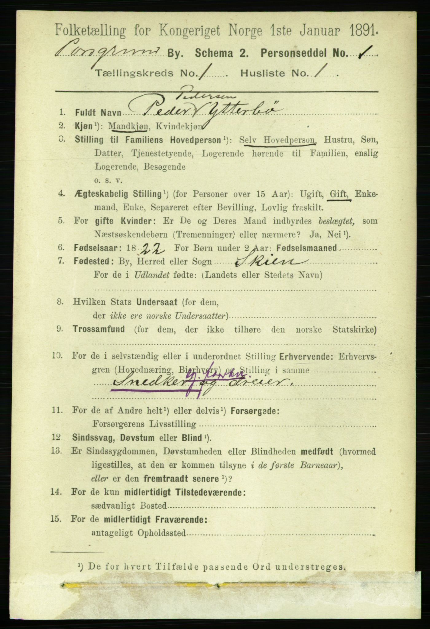 RA, 1891 census for 0805 Porsgrunn, 1891, p. 1278