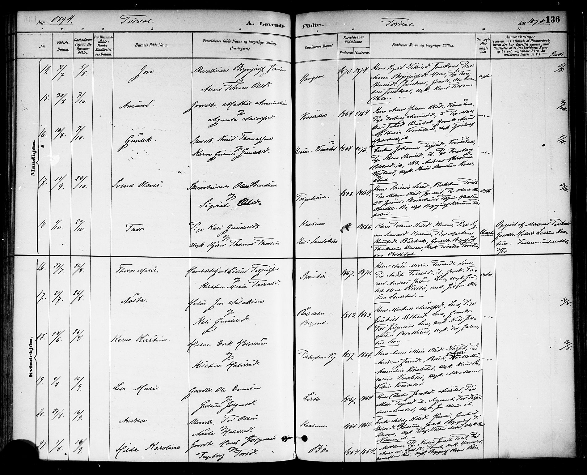 Drangedal kirkebøker, AV/SAKO-A-258/F/Fa/L0010: Parish register (official) no. 10 /2, 1885-1894, p. 136