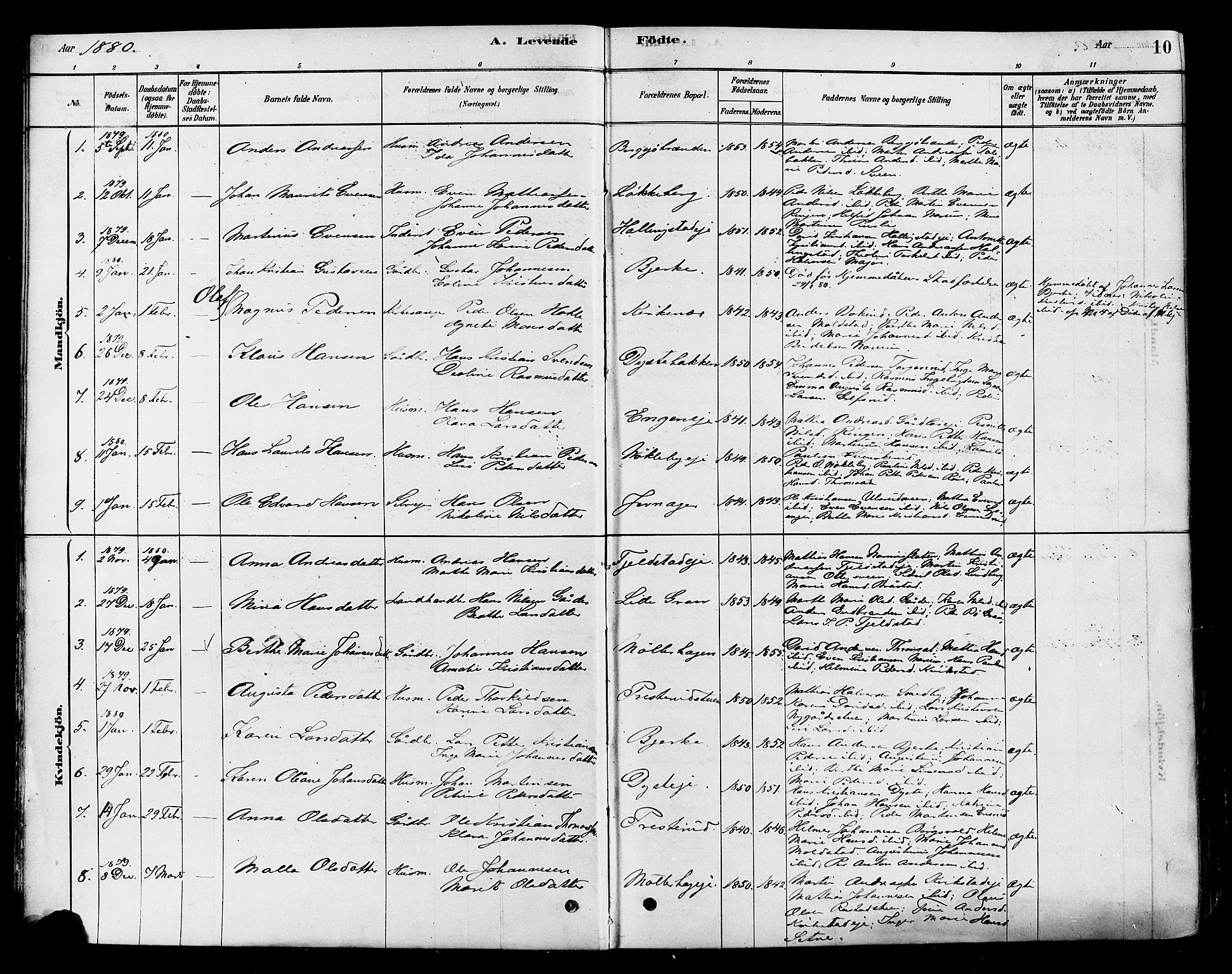 Vestre Toten prestekontor, SAH/PREST-108/H/Ha/Haa/L0010: Parish register (official) no. 10, 1878-1894, p. 10